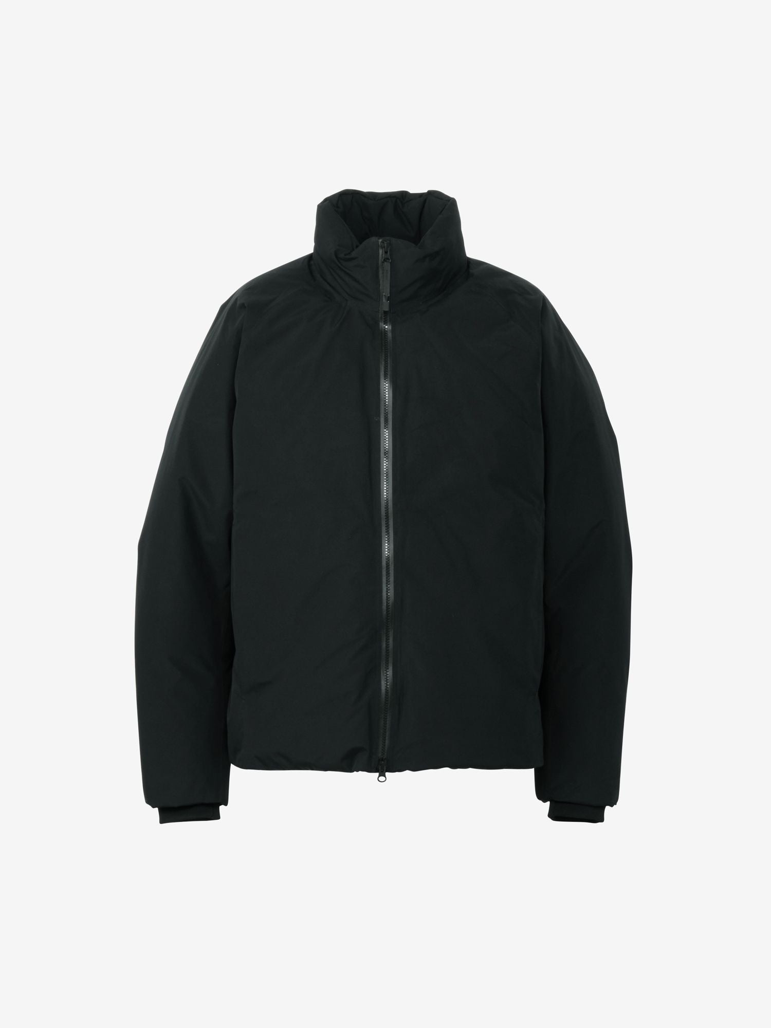 GORE-TEX 900 Fill Power Down Jacket (Unisex) - Black