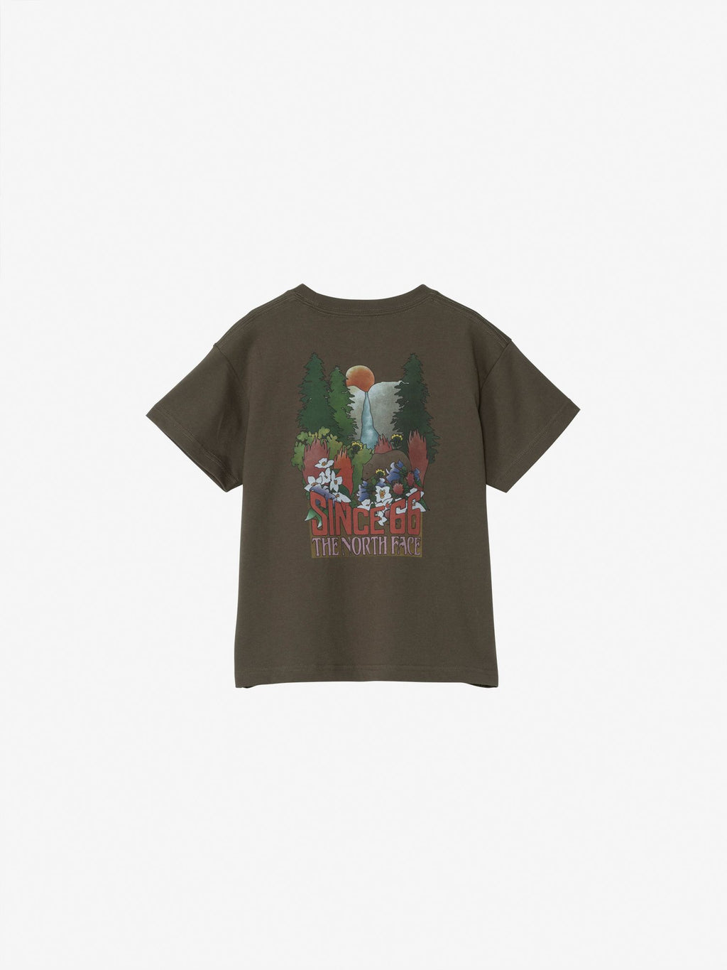 Toddler Short Sleeve Yosemite Fall Tee (Kids) - New Toad