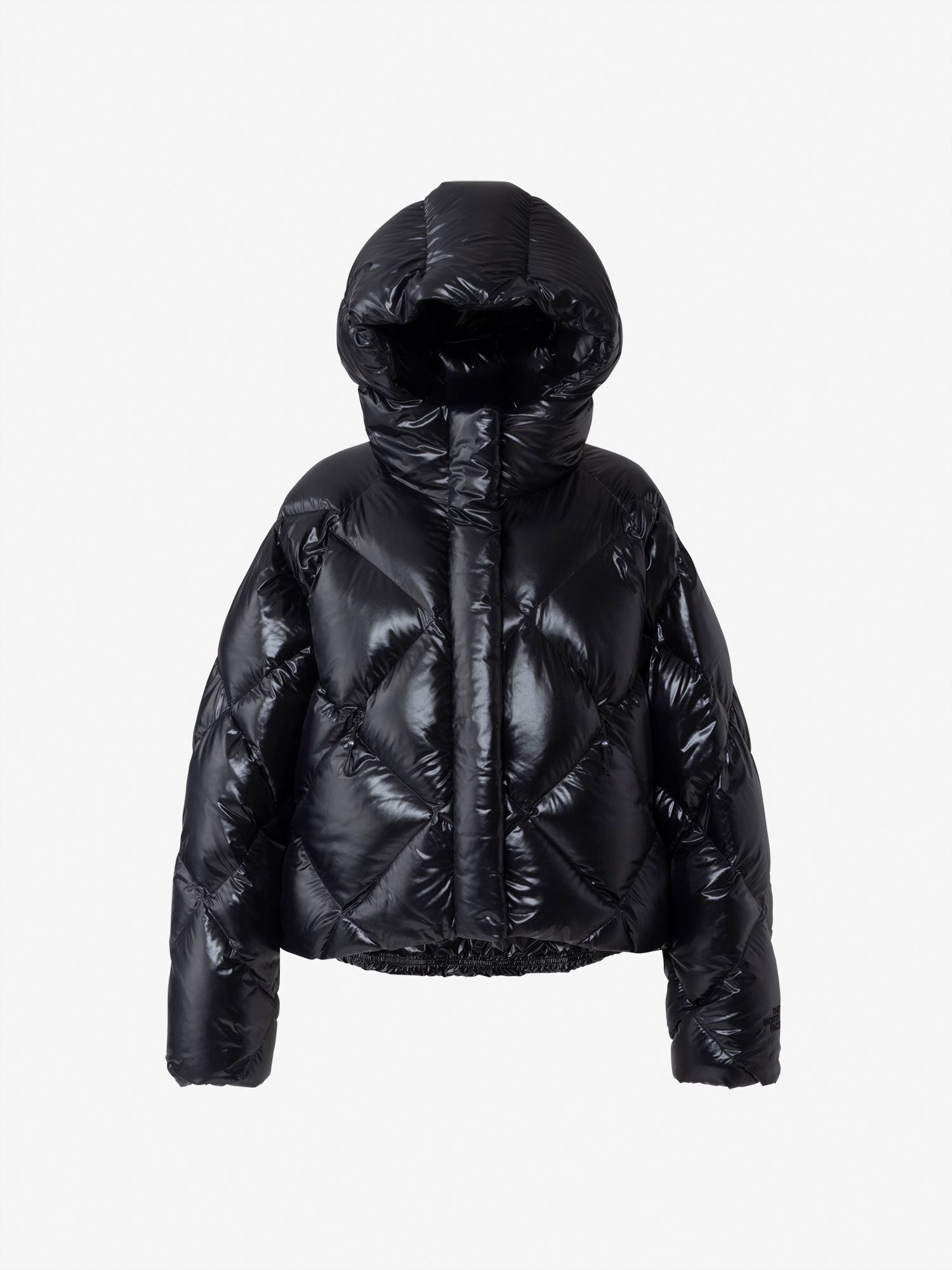 WL Quilted Down Jacket (Women's) - Black