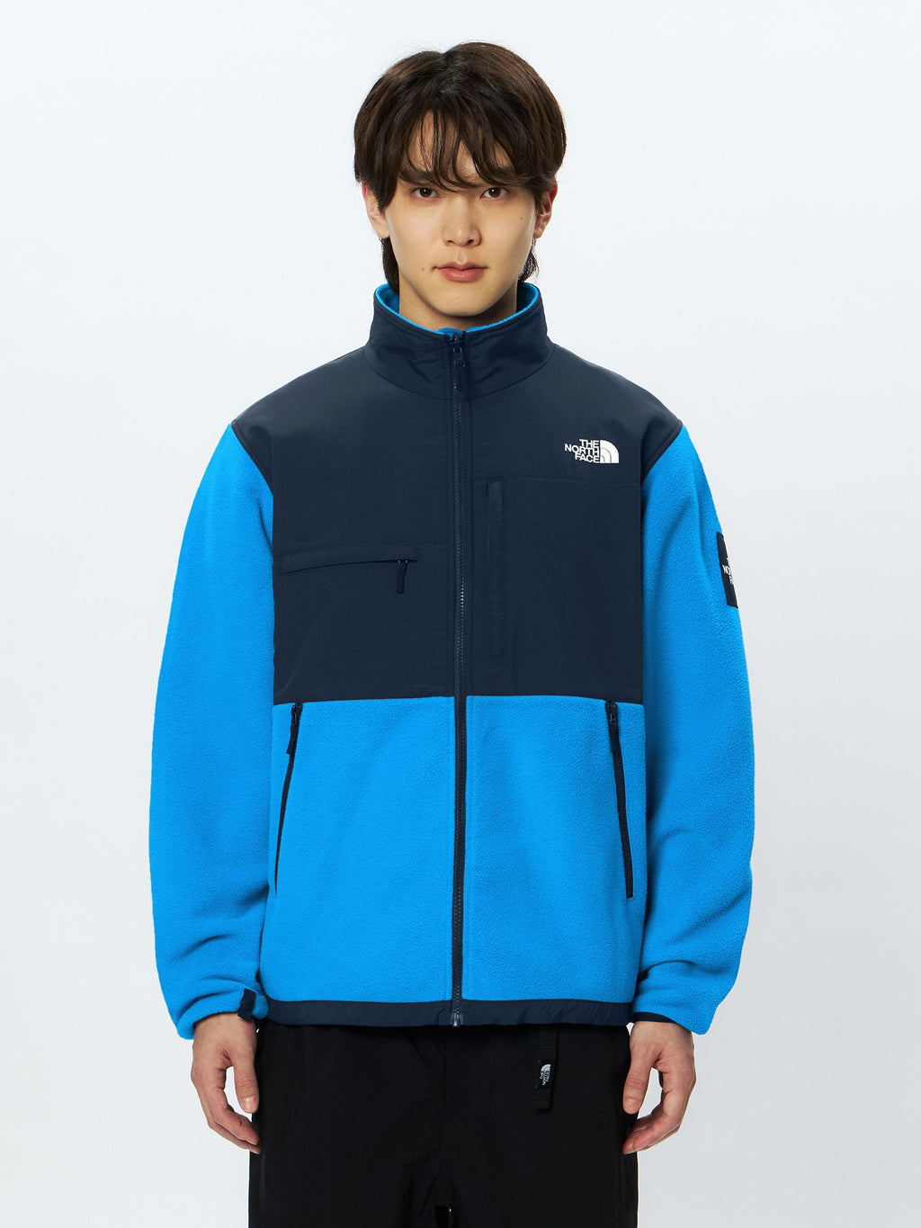 Denali Jacket (Men's)