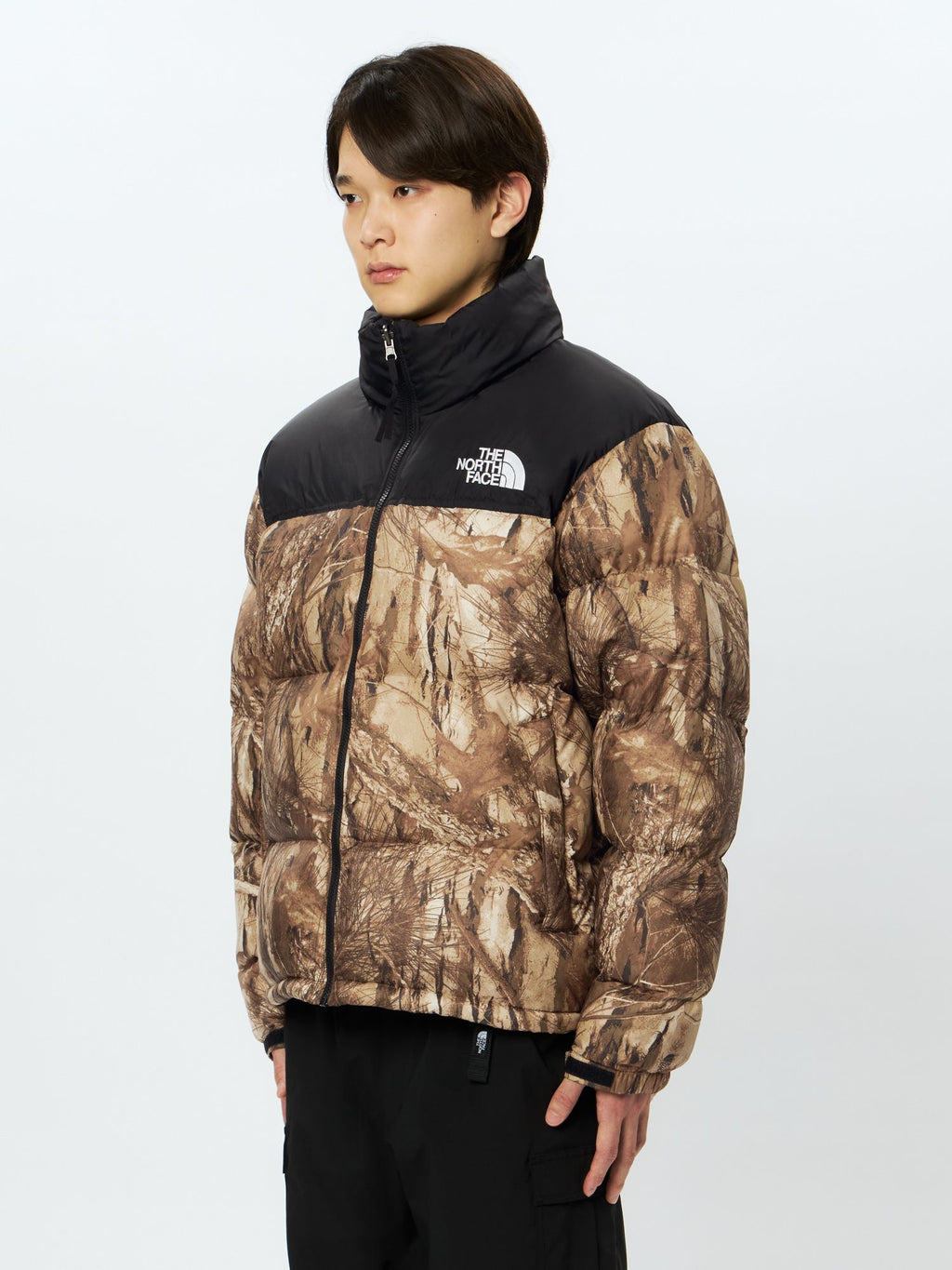Novelty Nuptse Jacket (Men's)