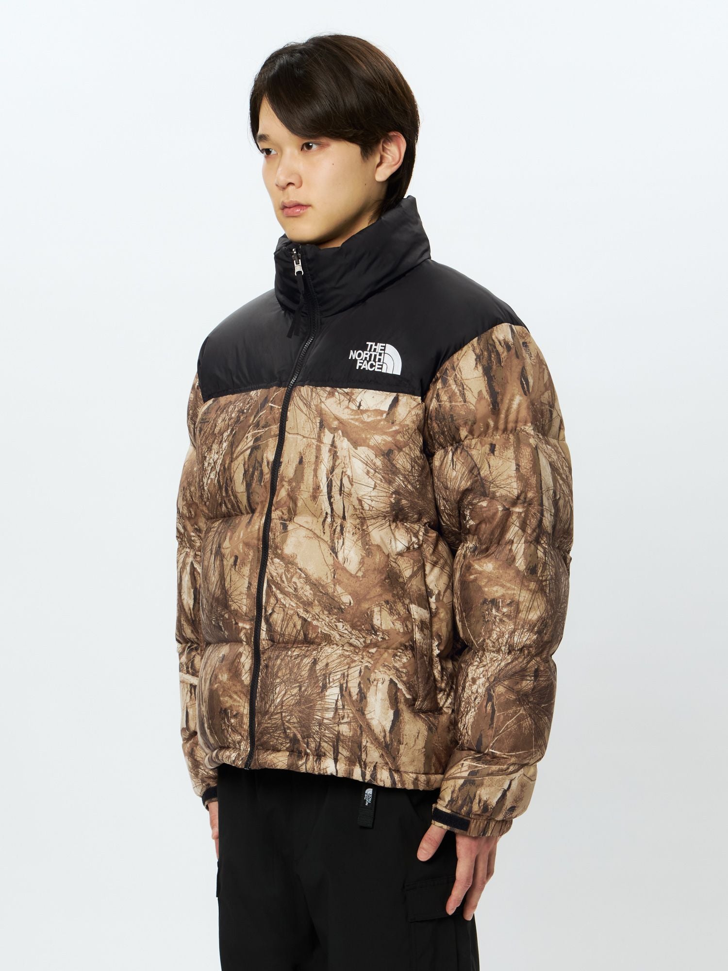Novelty Nuptse Jacket (Men's)