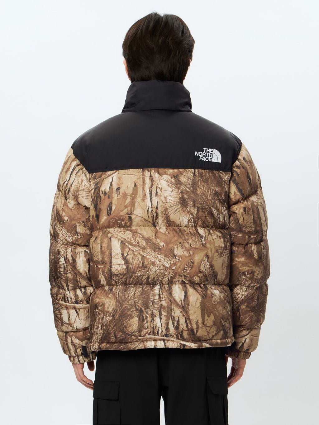 Novelty Nuptse Jacket (Men's)