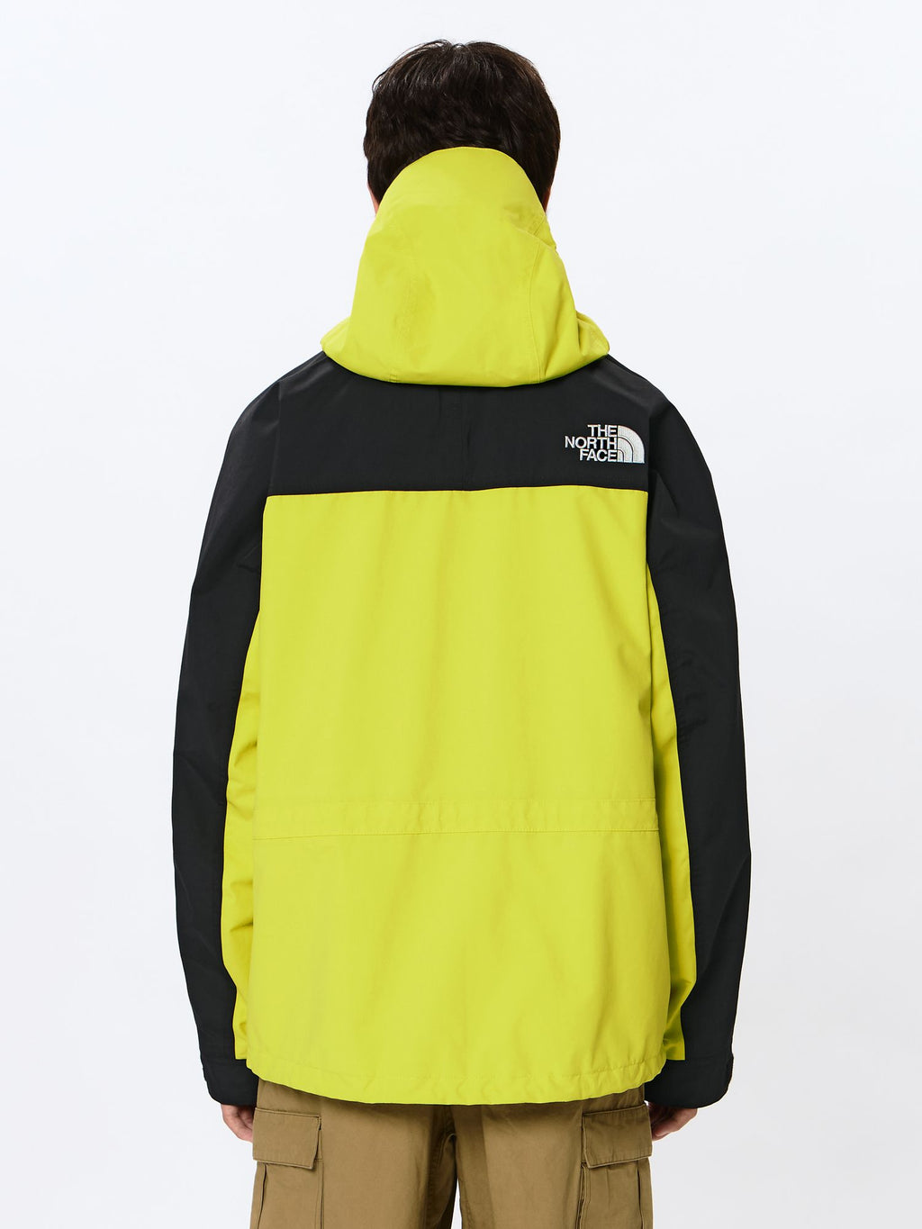 Mountain Light Jacket (Men's)