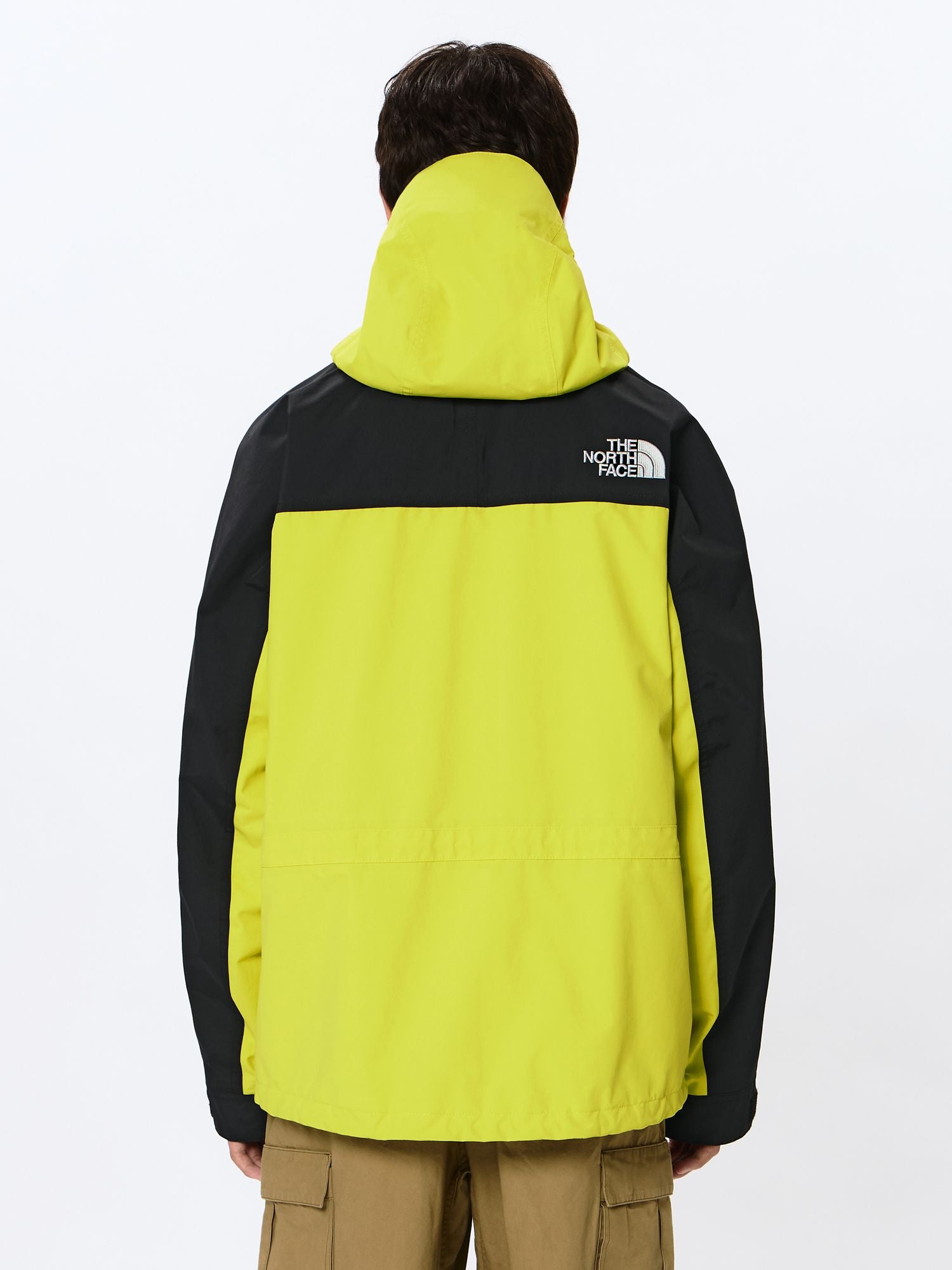 Mountain Light Jacket (Men's)