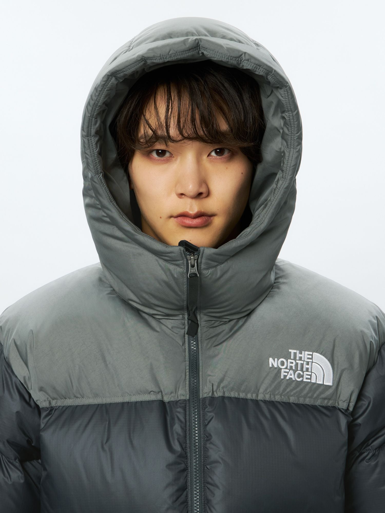 Nuptse Hoodie (Men's)
