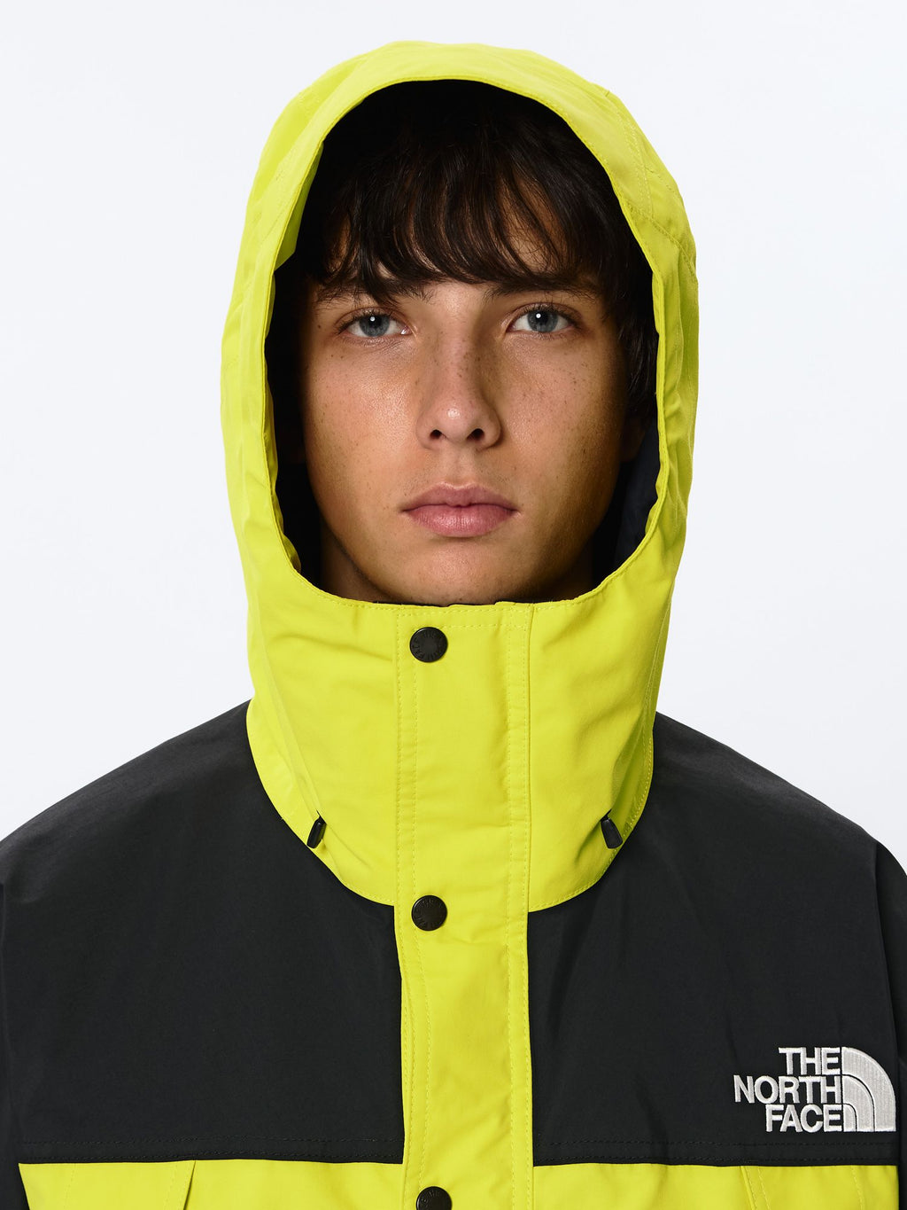 Mountain Light Jacket (Men's)