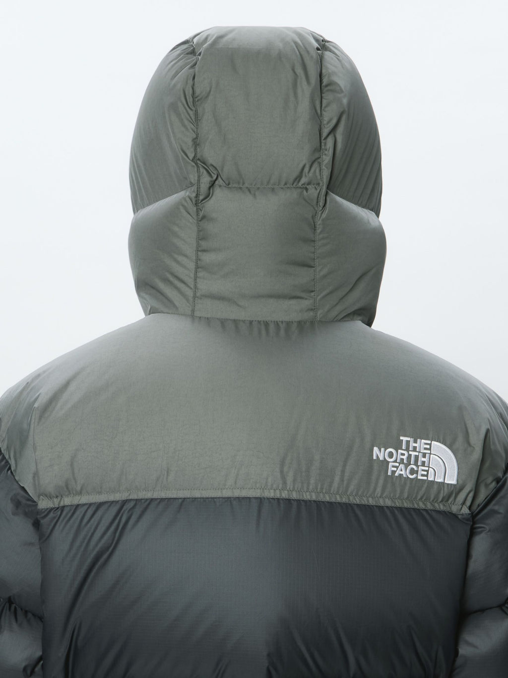 Nuptse Hoodie (Men's)