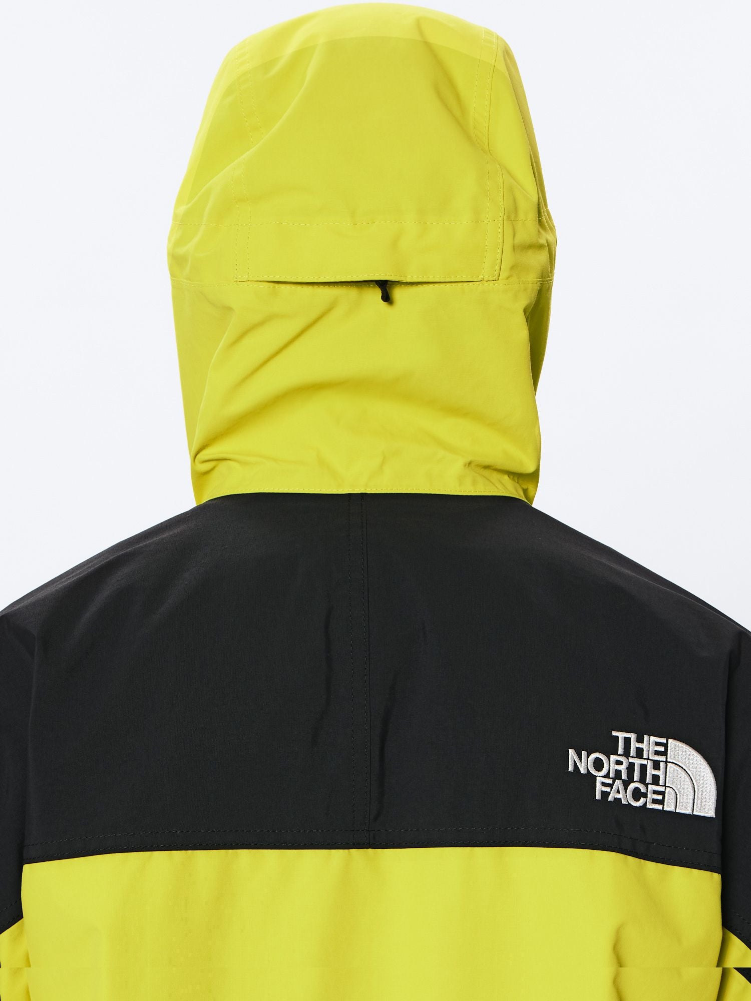 Mountain Light Jacket (Men's)