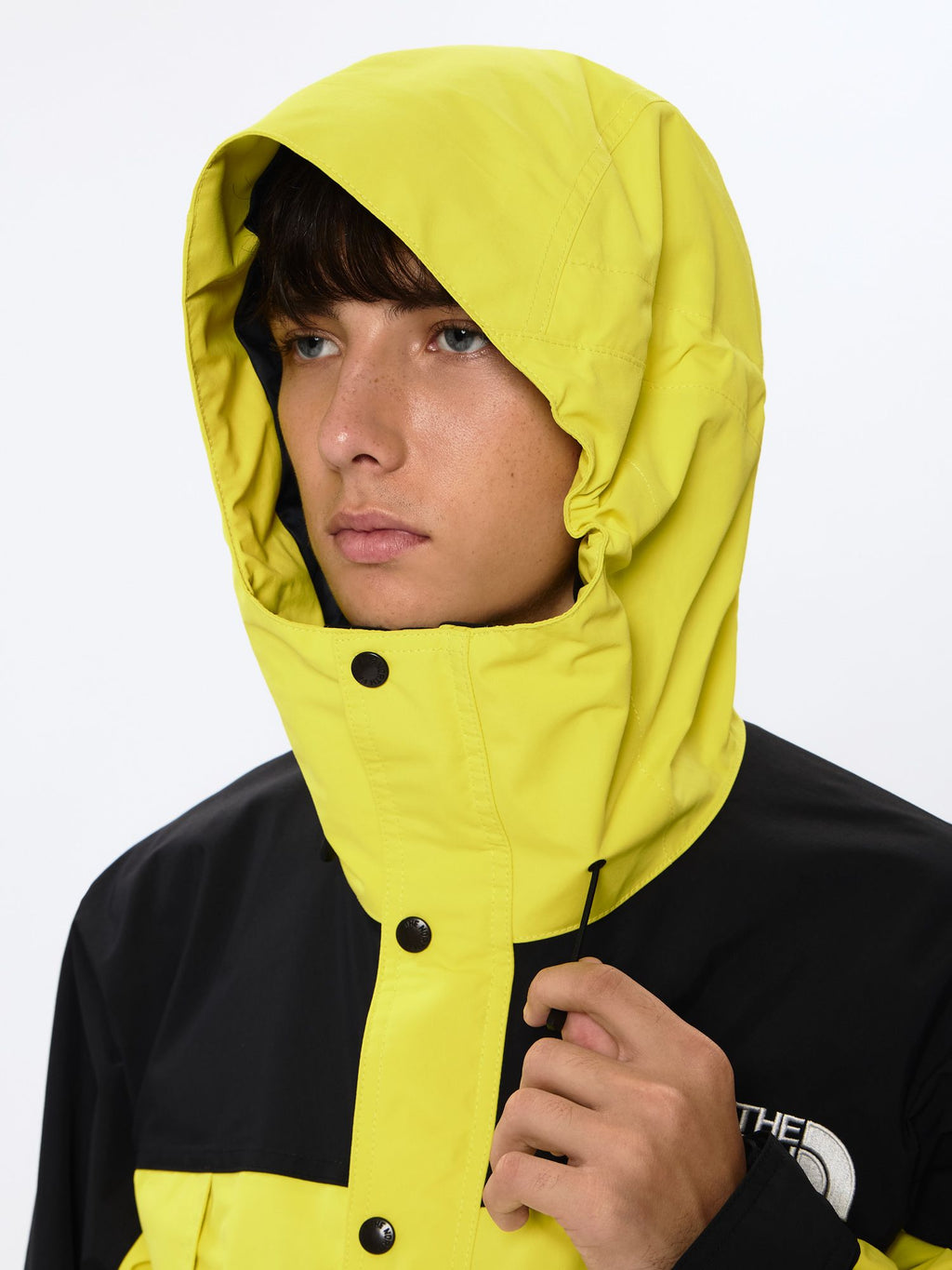 Mountain Light Jacket (Men's)