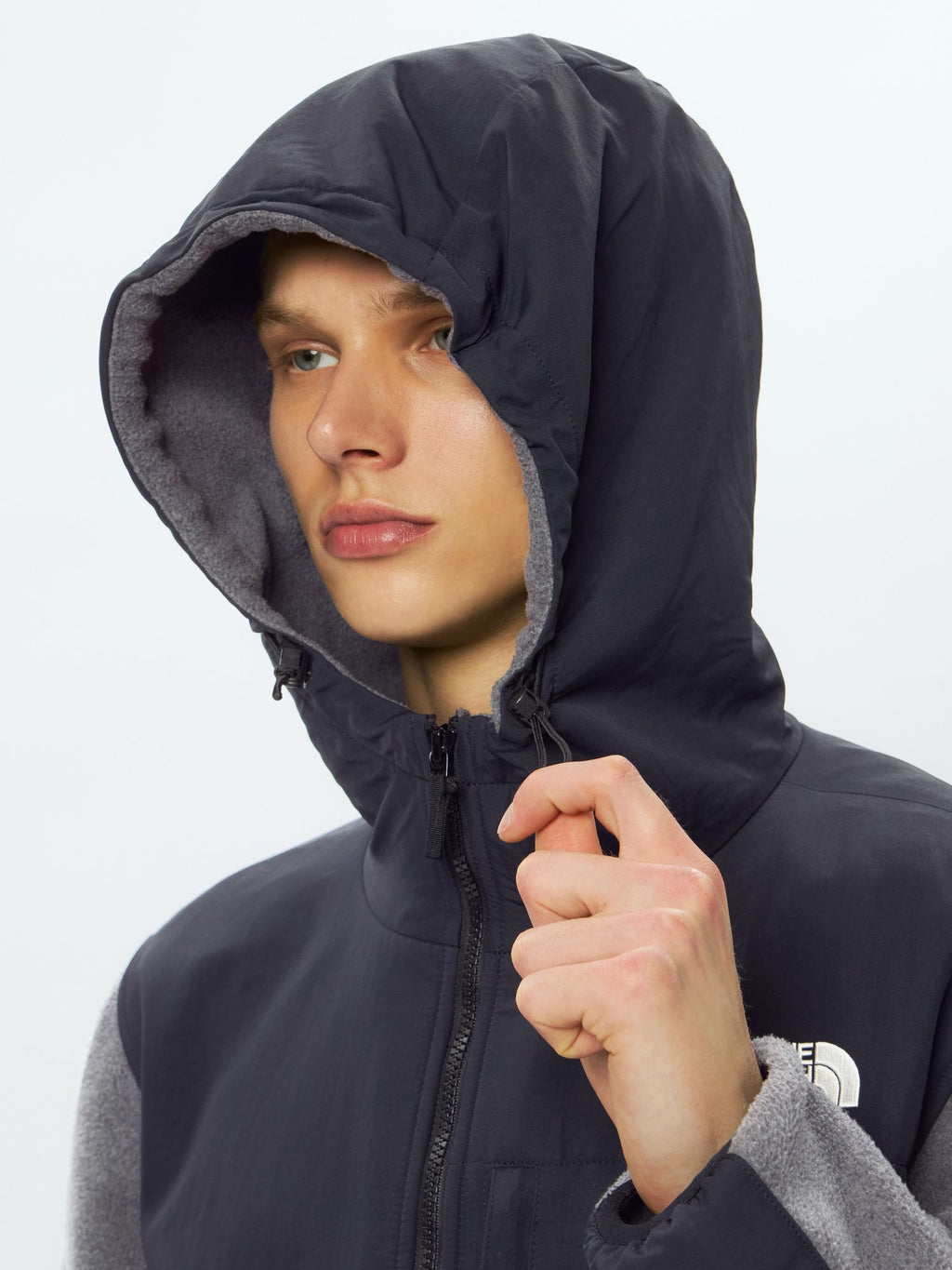 Denali Hoodie (Men's)