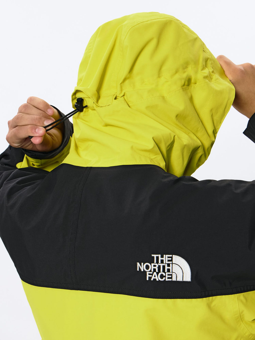 Mountain Light Jacket (Men's)