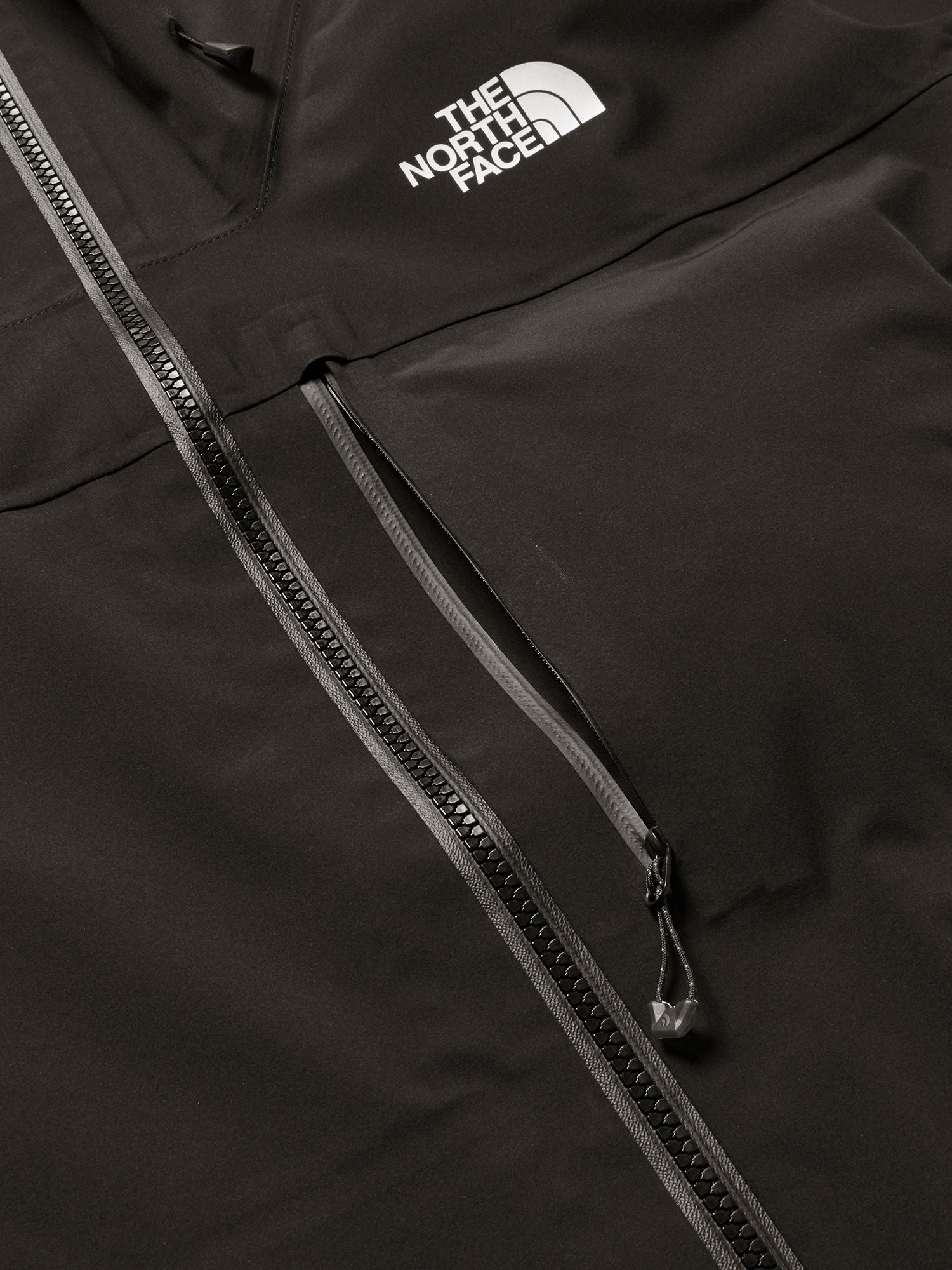 Futurelight Winter Runner Jacket (Men's)