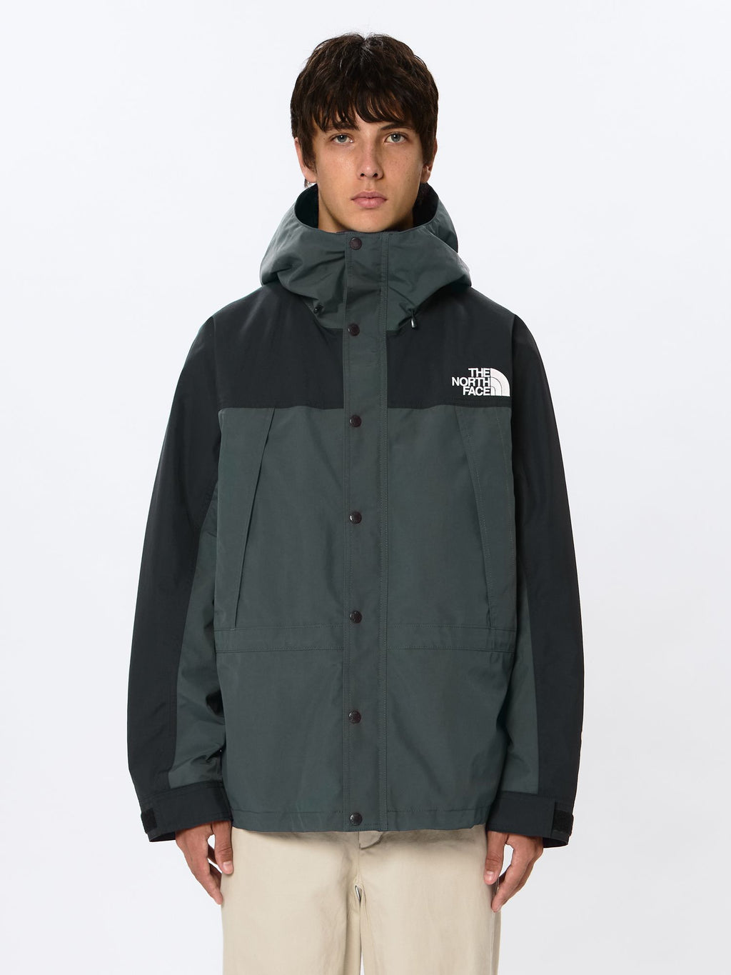 Mountain Light Jacket (Men's)