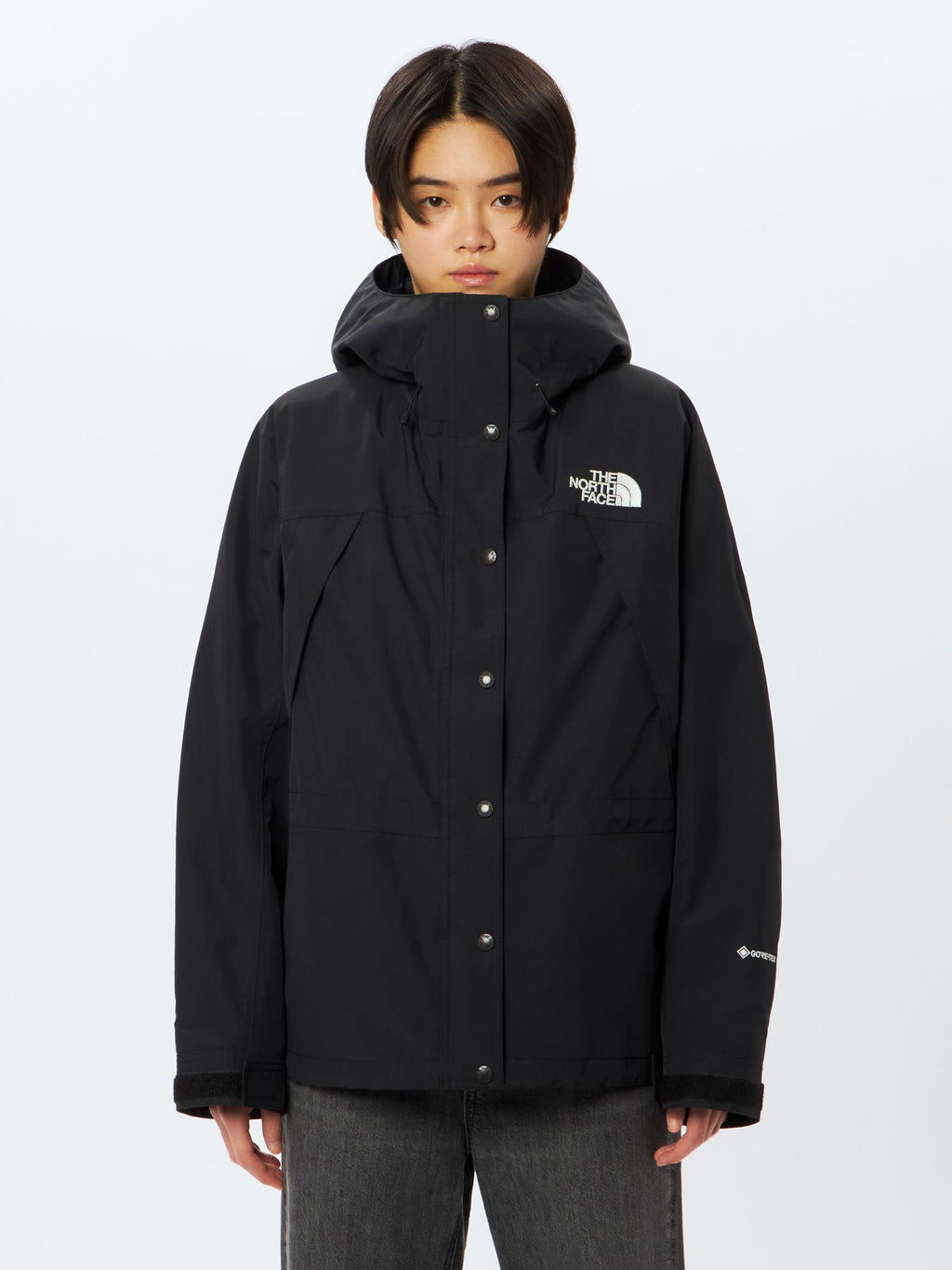 Mountain Light Jacket (Women's)