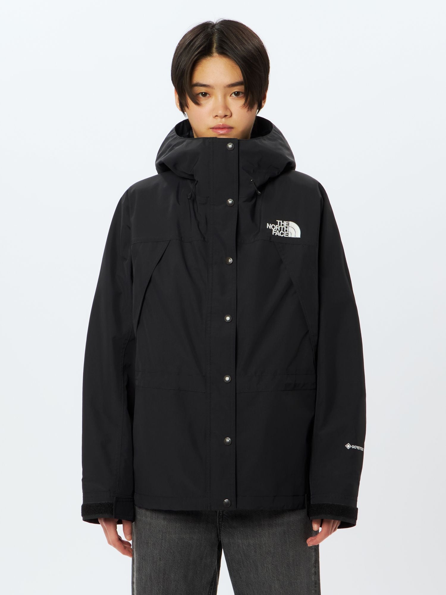 Mountain Light Jacket (Women's)