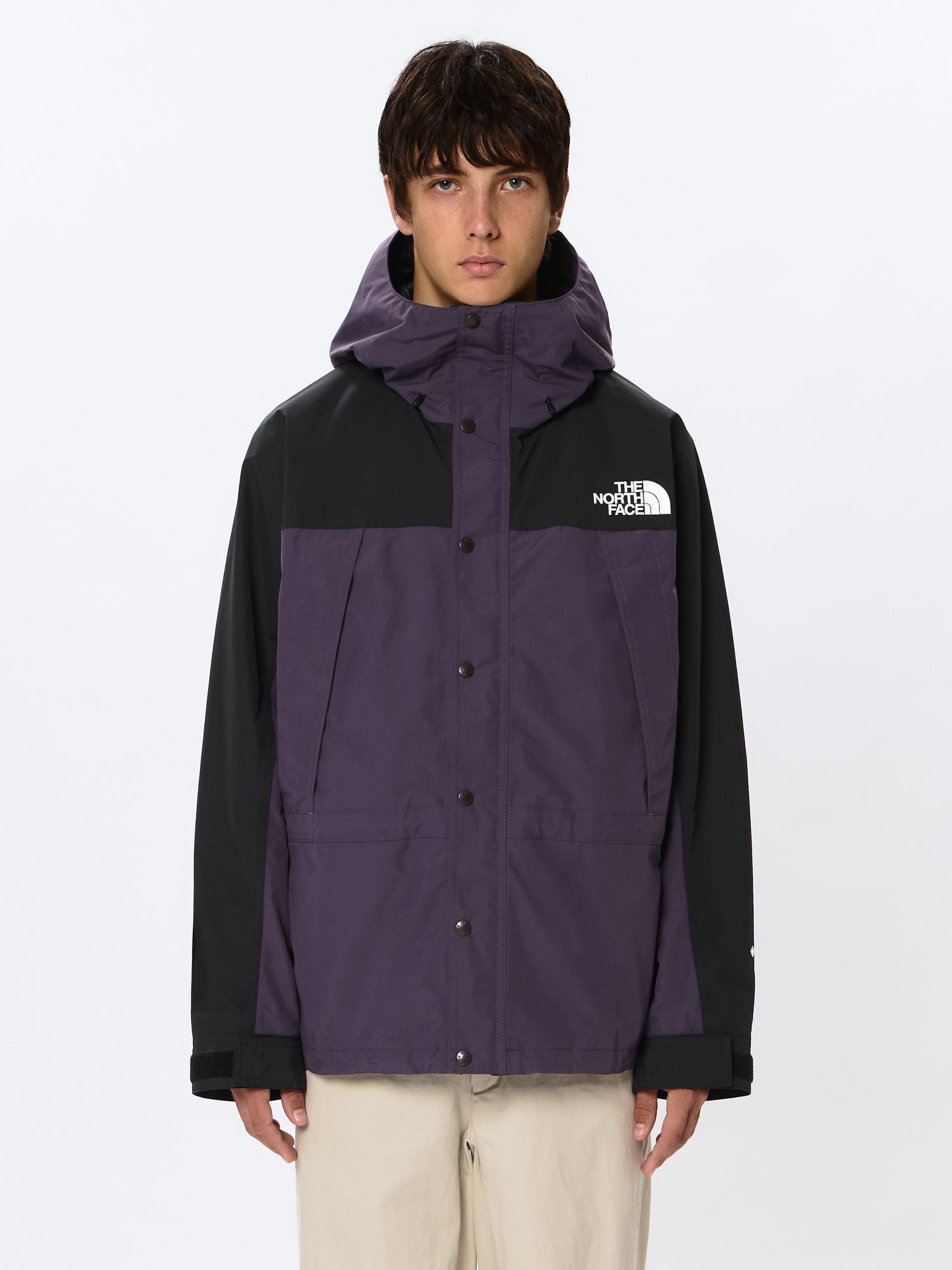 Mountain Light Jacket (Men's)