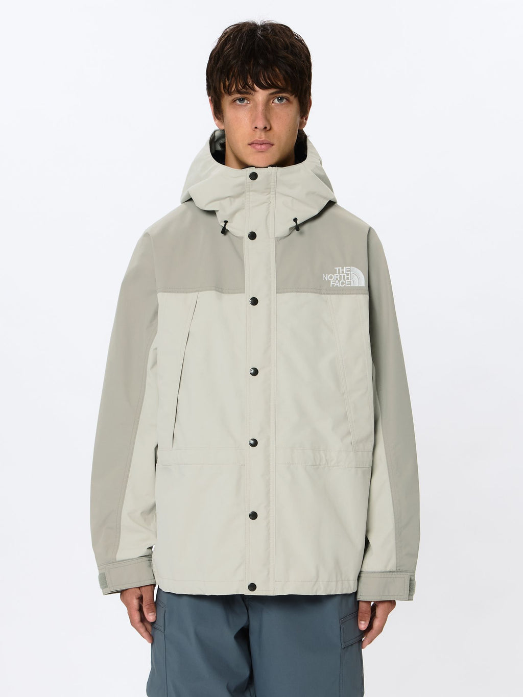 Mountain Light Jacket (Men's)