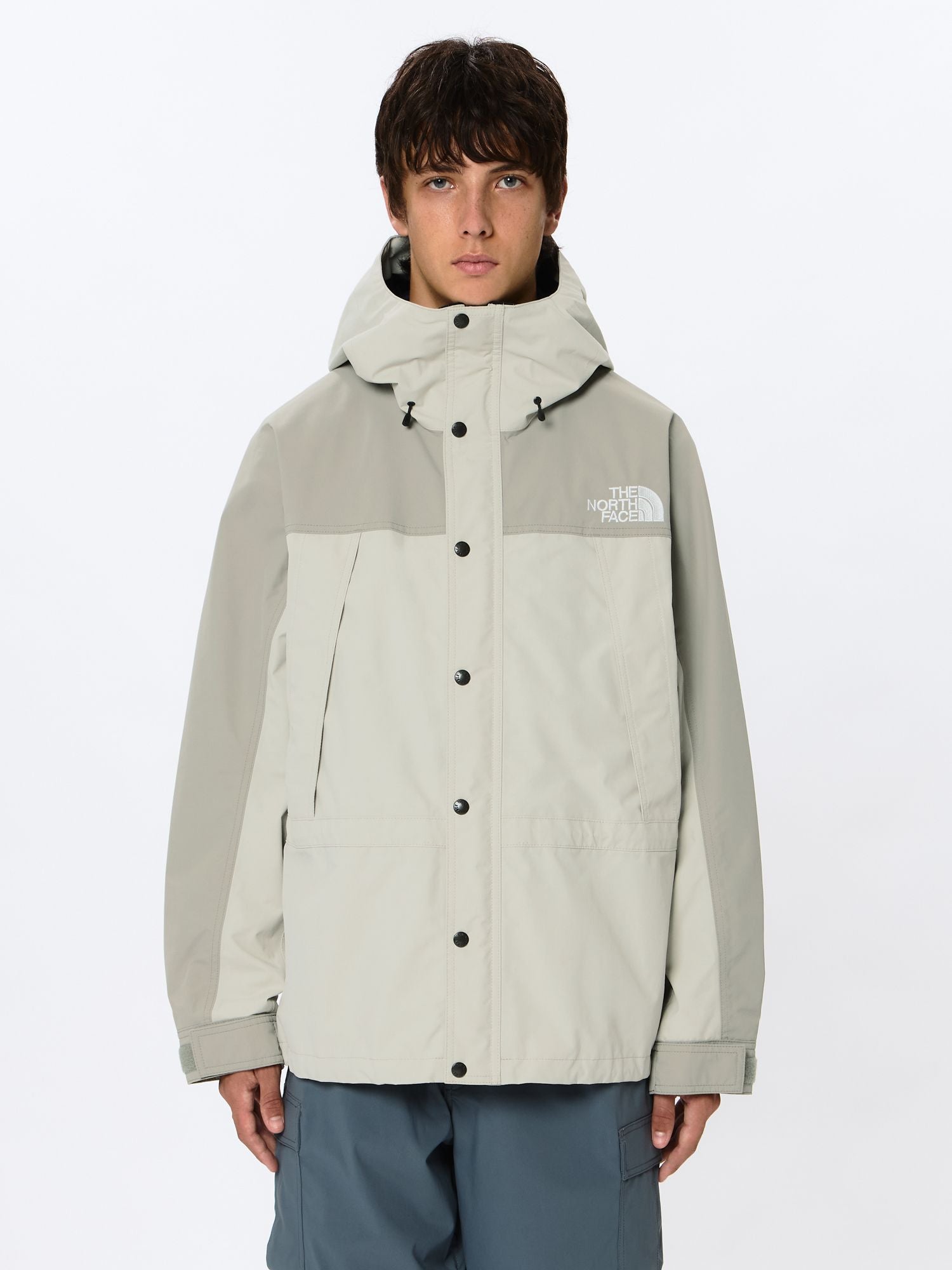 Mountain Light Jacket (Men's)