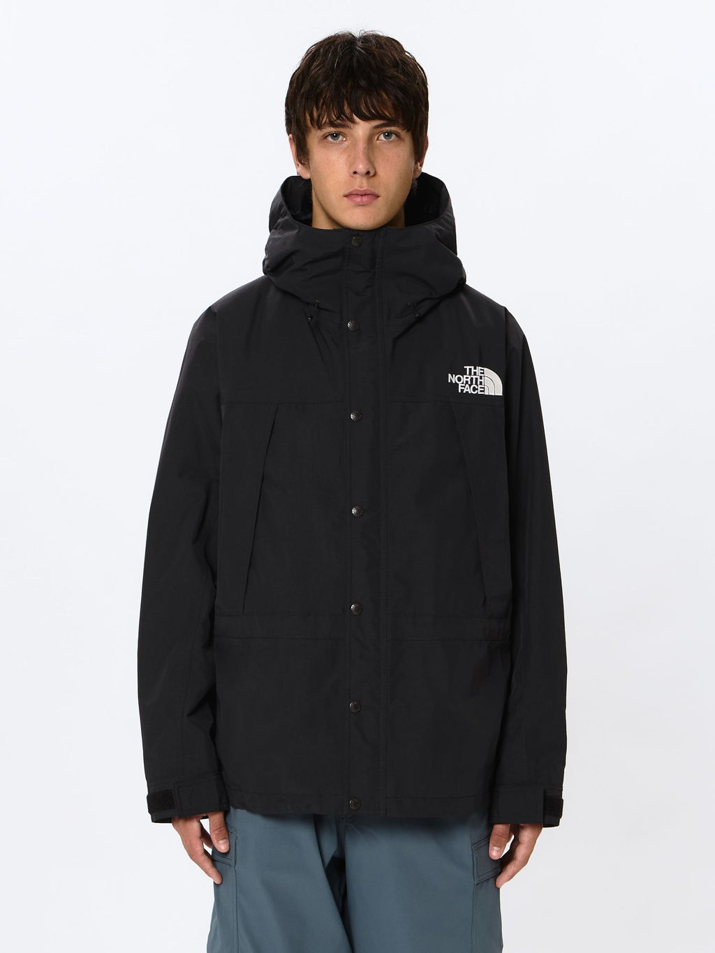 Mountain Light Jacket (Men's)