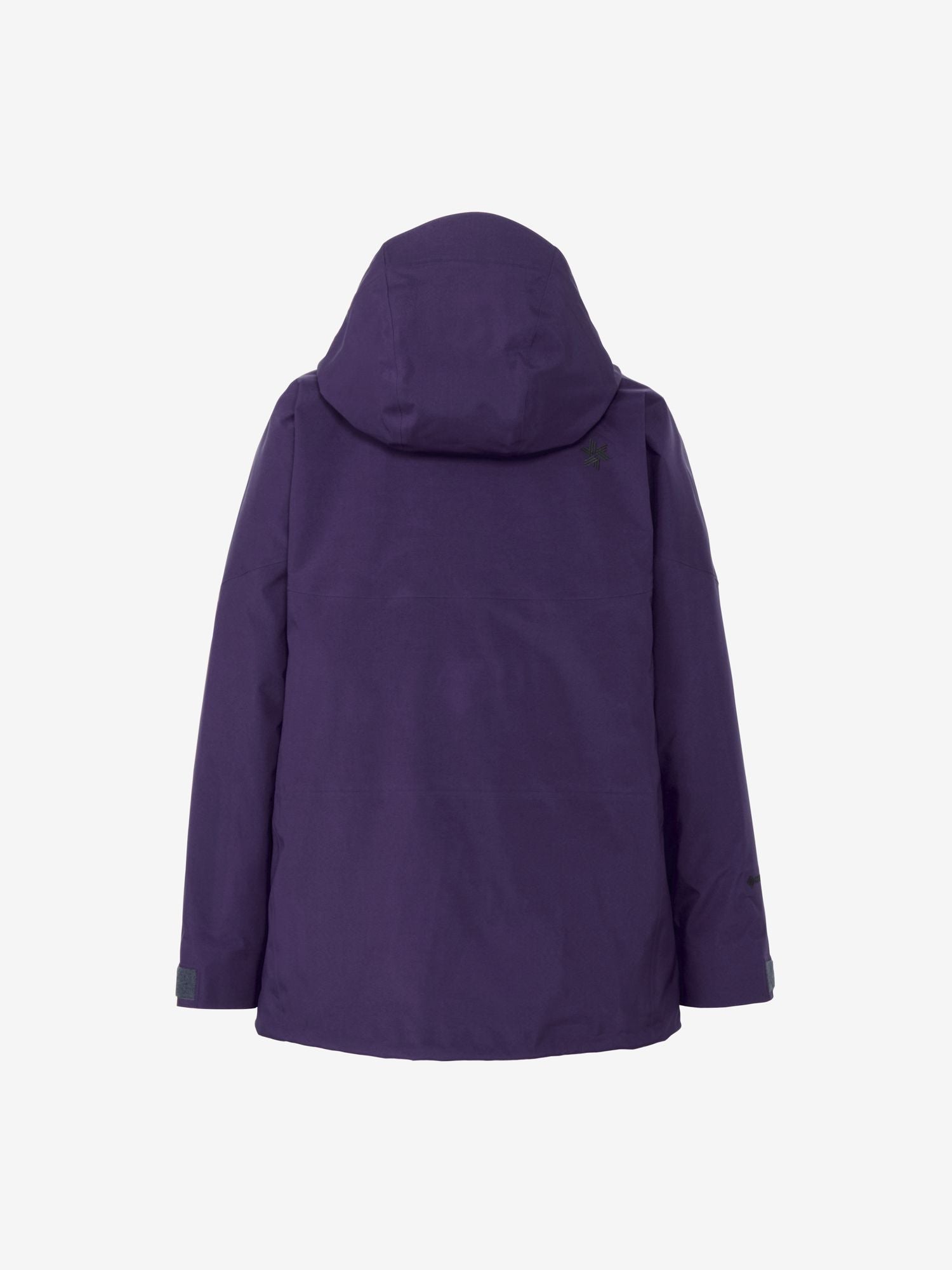 Gore-Tex Pro 3-Layer Jacket (Men's)