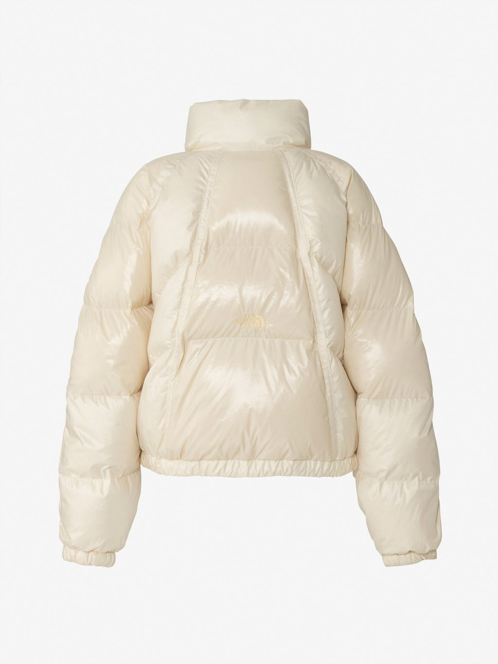 New Line Down Jacket (Women's)