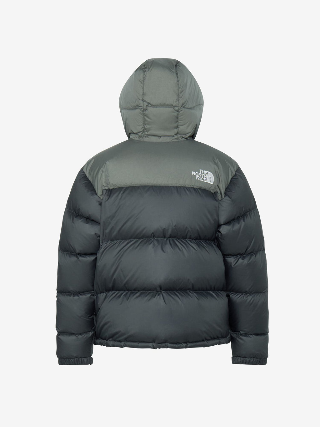 Nuptse Hoodie (Men's)