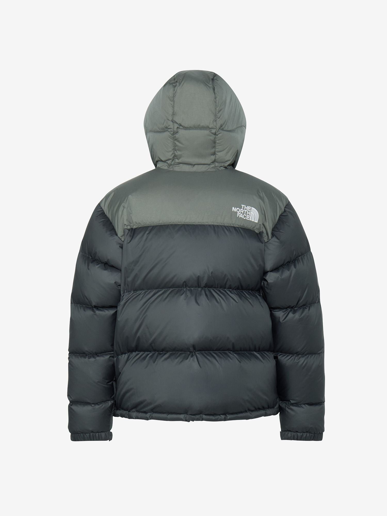 Nuptse Hoodie (Men's)