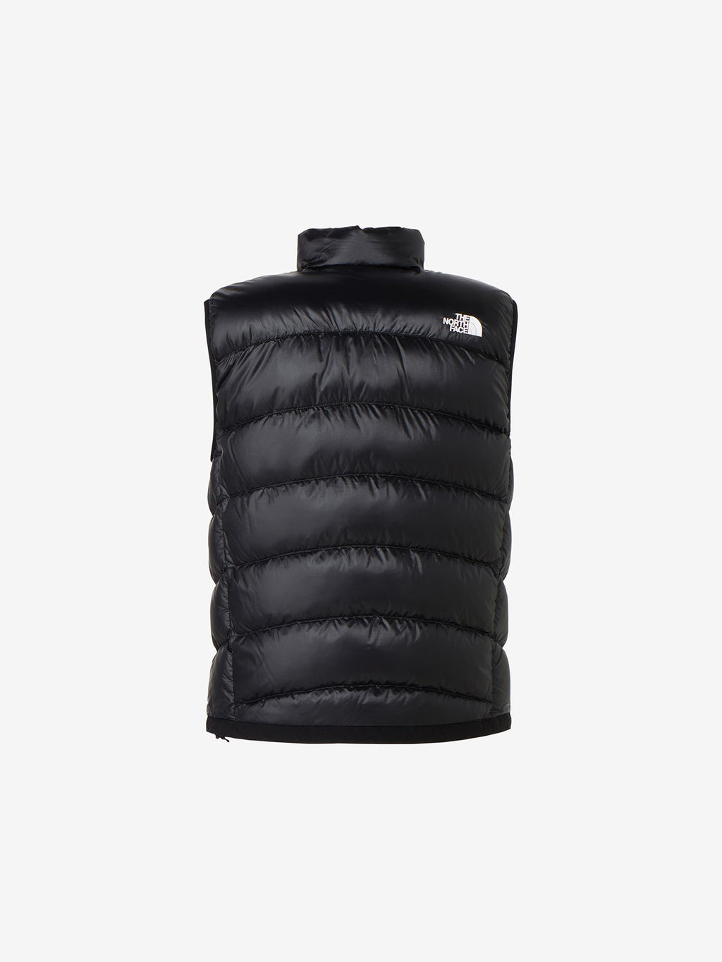 Aconcagua Vest (Men's)