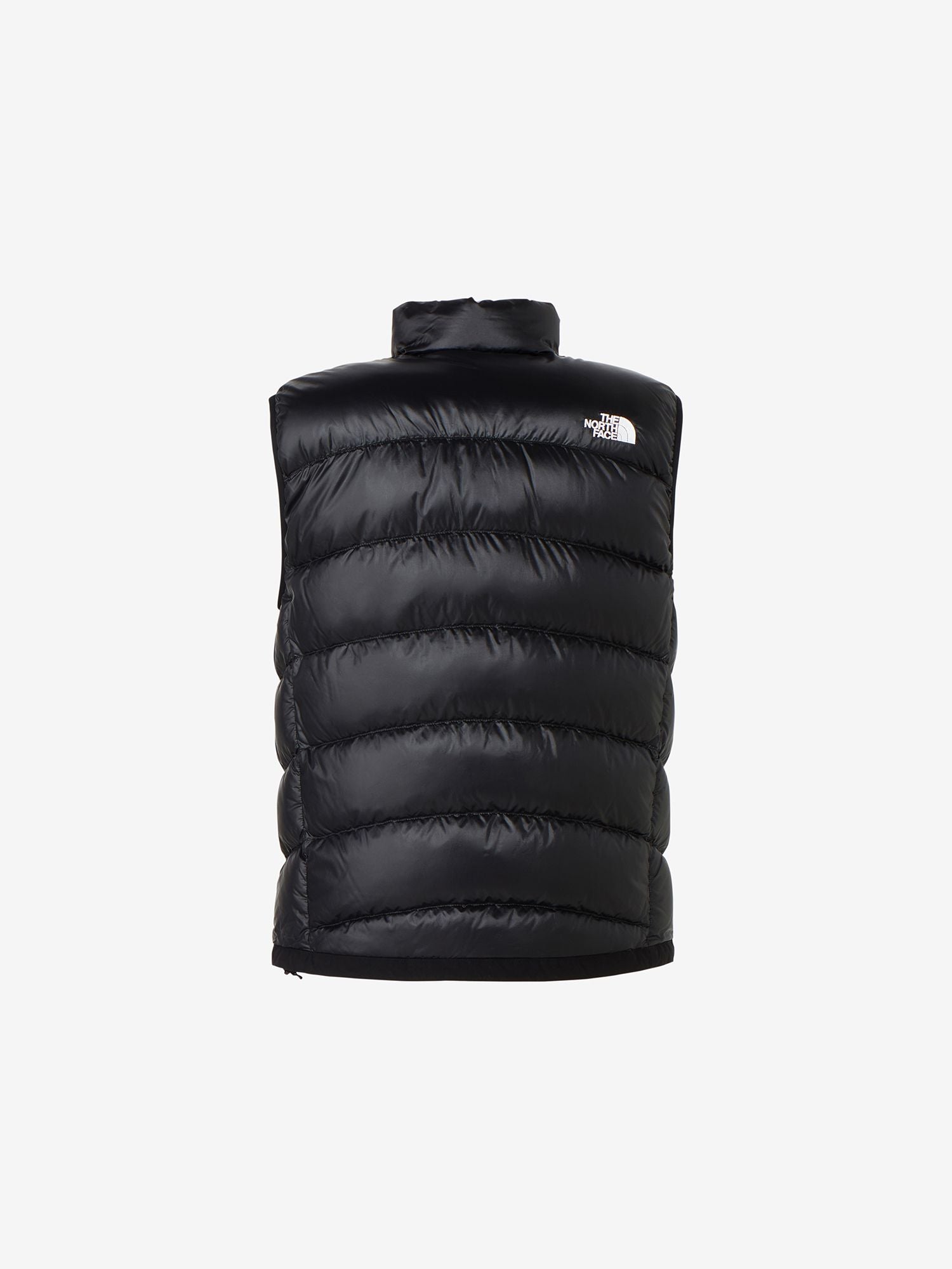 Aconcagua Vest (Men's)