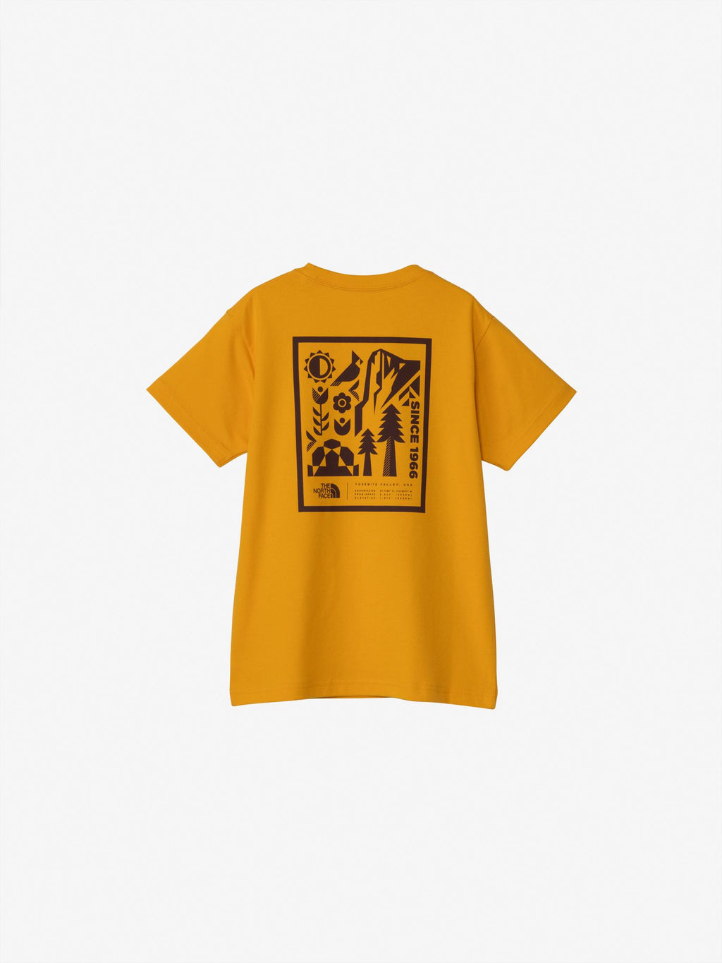 Short Sleeve Graphic Tee (Kids)