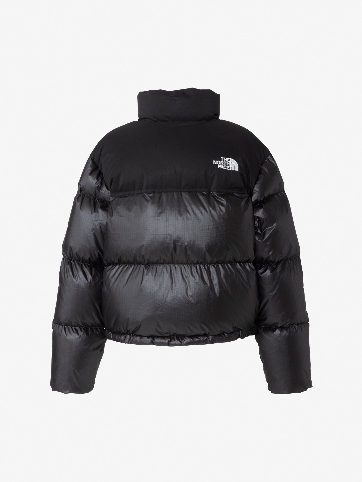 WL Novelty Nuptse Down Jacket (Women's)