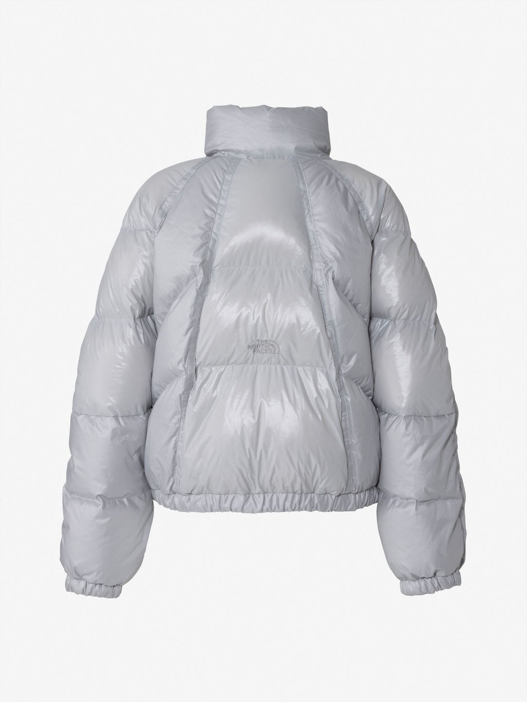 New Line Down Jacket (Women's)