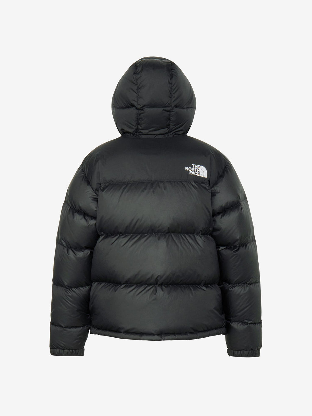 Nuptse Hoodie (Men's)
