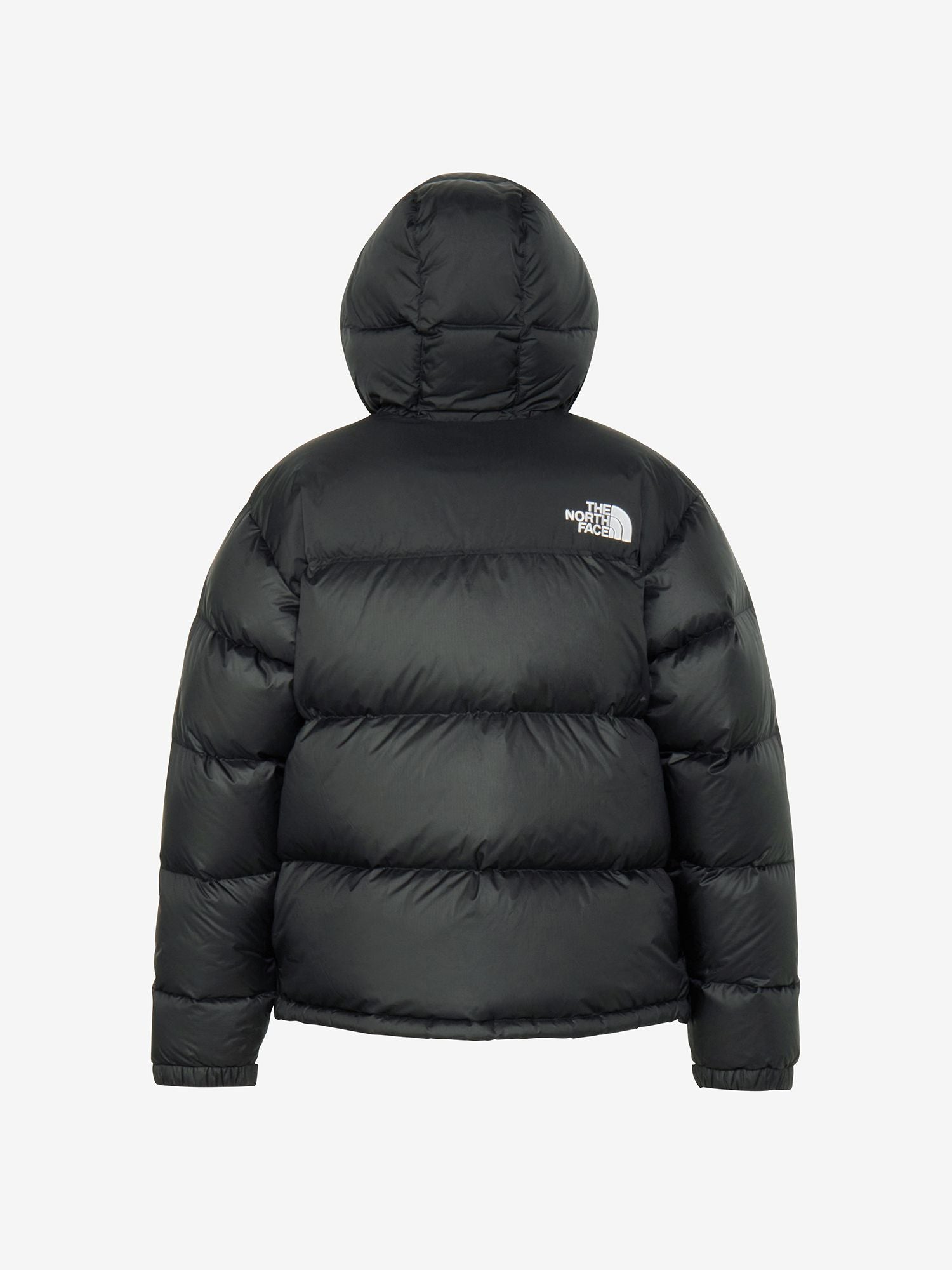 Nuptse Hoodie (Men's)