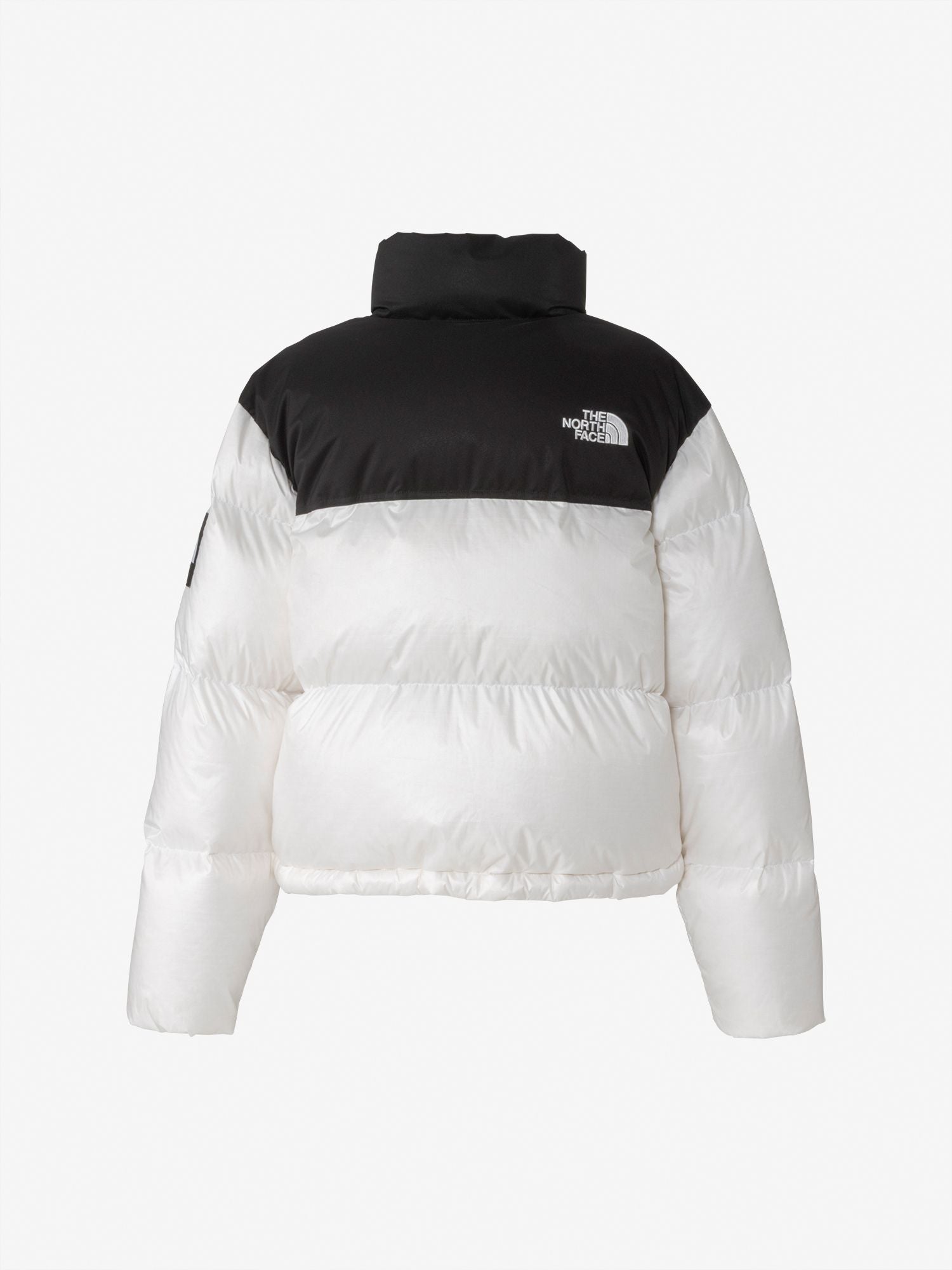 WL Novelty Nuptse Down Jacket (Women's)