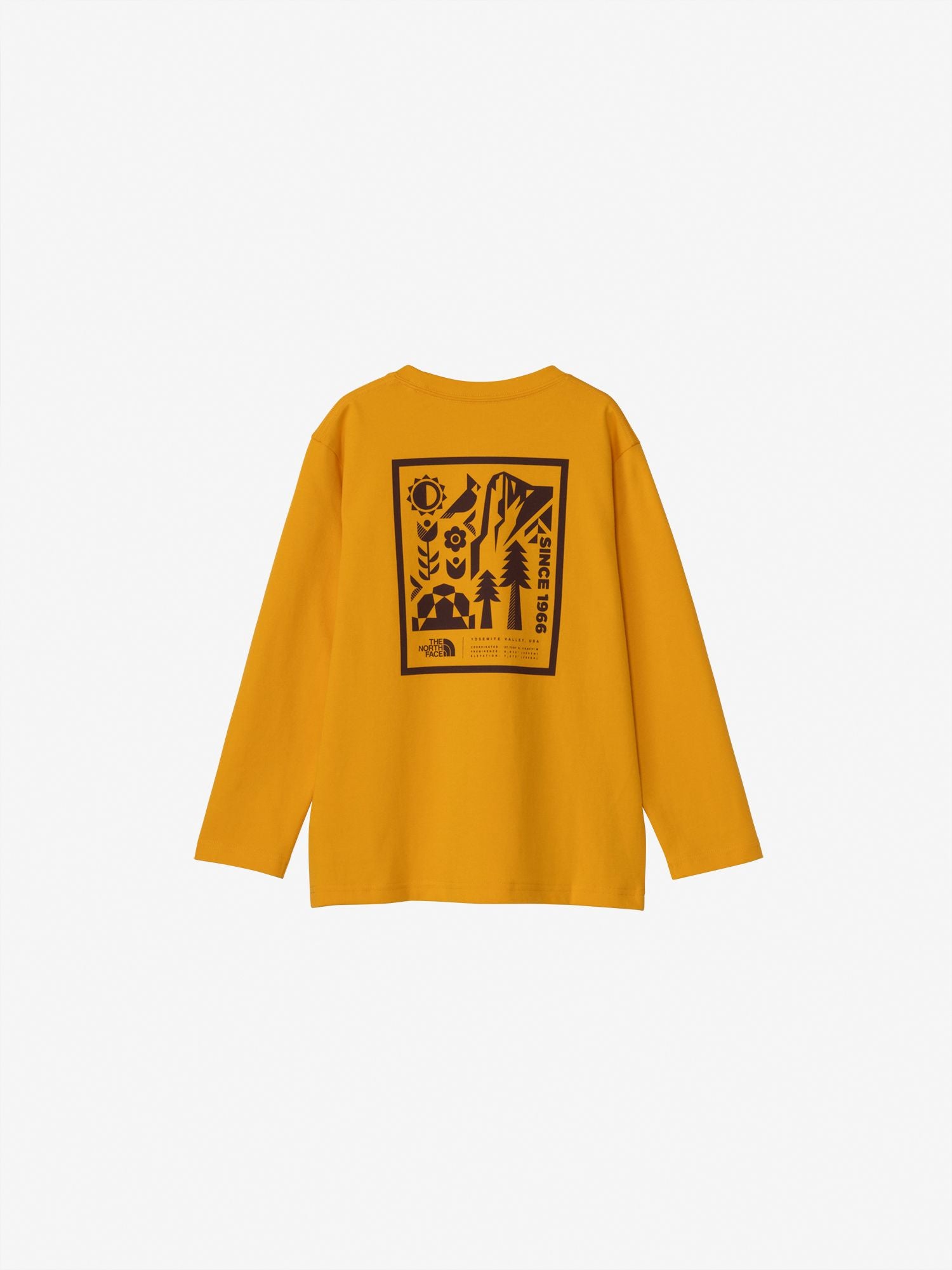 Long Sleeve Graphic Tee (Kids)