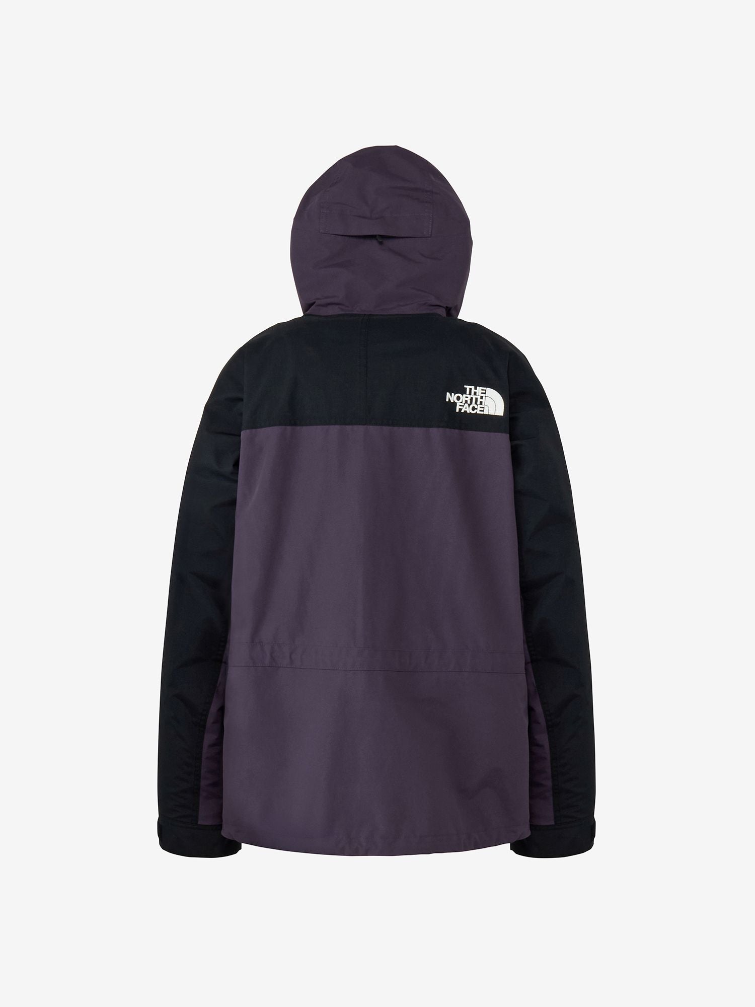 Mountain Light Jacket (Men's)