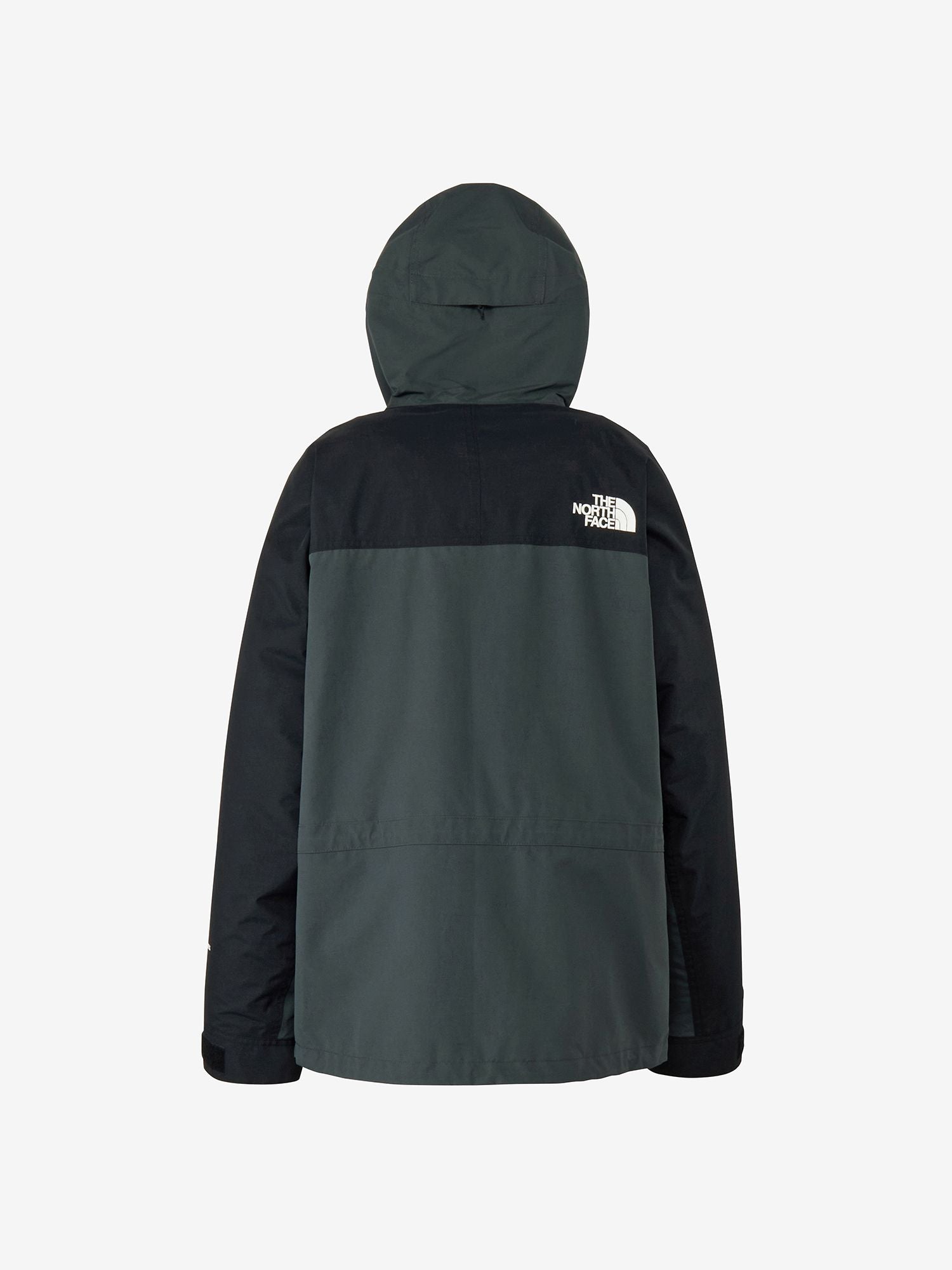 Mountain Light Jacket (Men's)