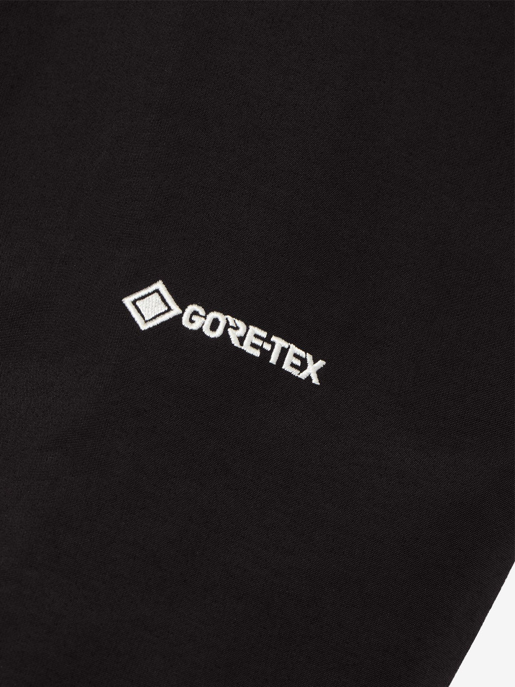 Mountain Light Jacket (Men's)