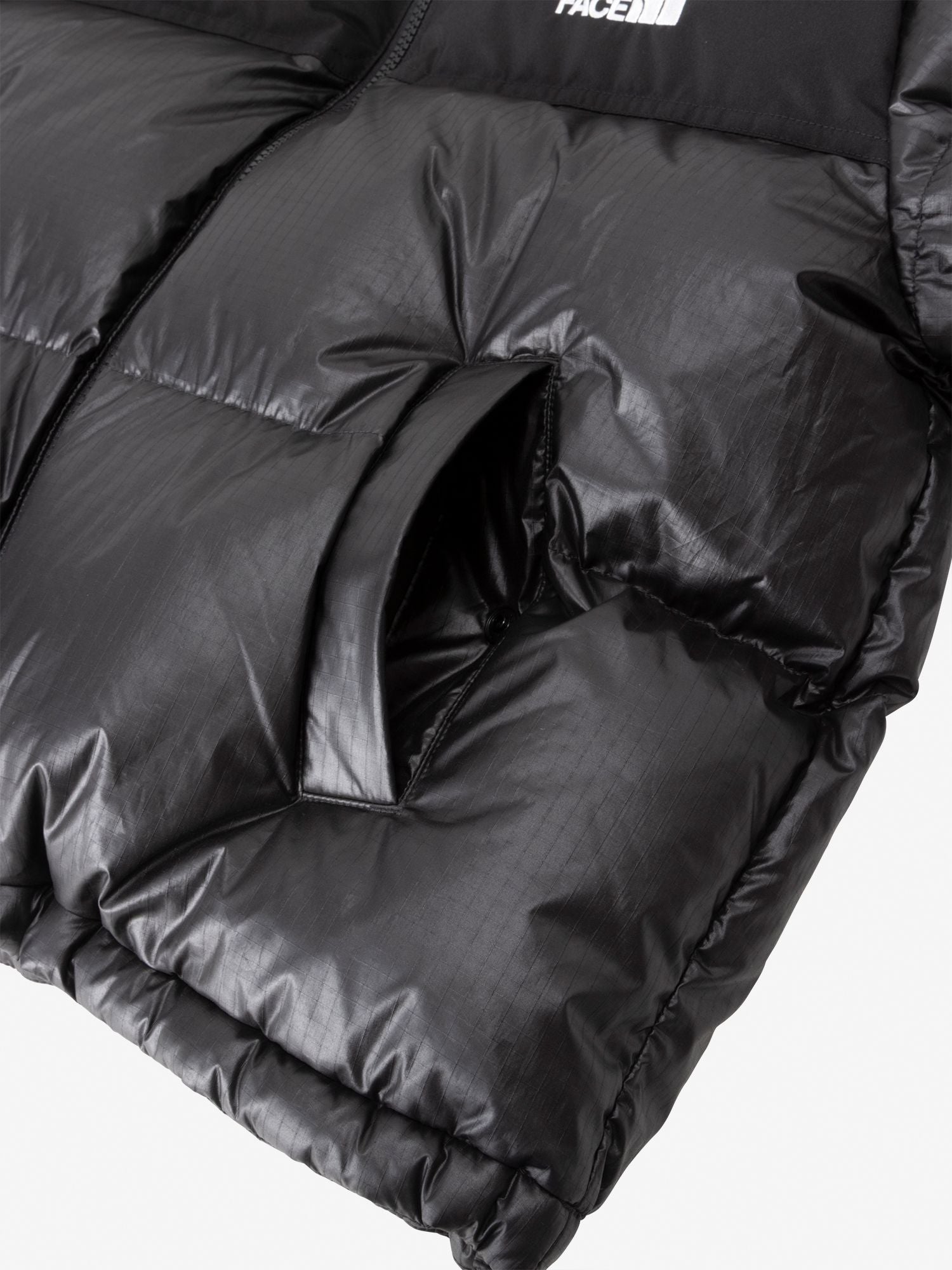 WL Novelty Nuptse Down Jacket (Women's)