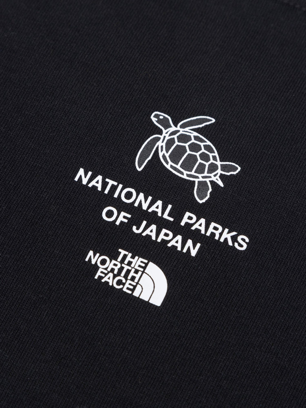 Short Sleeve National Park Tee (Kids)
