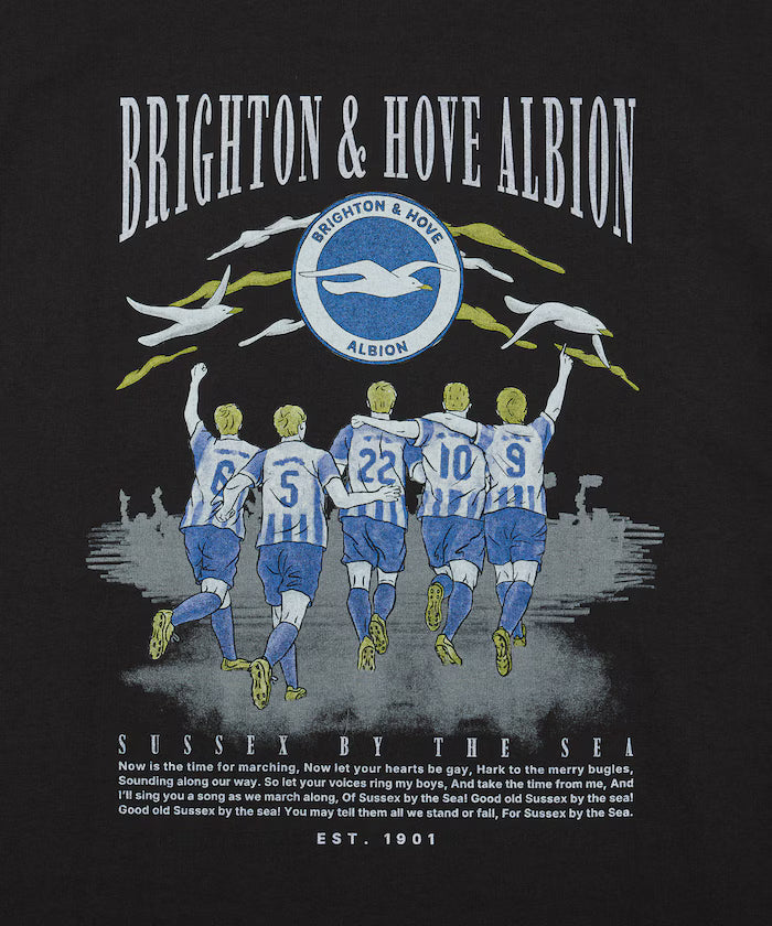 [Release on 5/22 12:00~] BHA SEAGULLS MATCHDAY GRAPHIC T