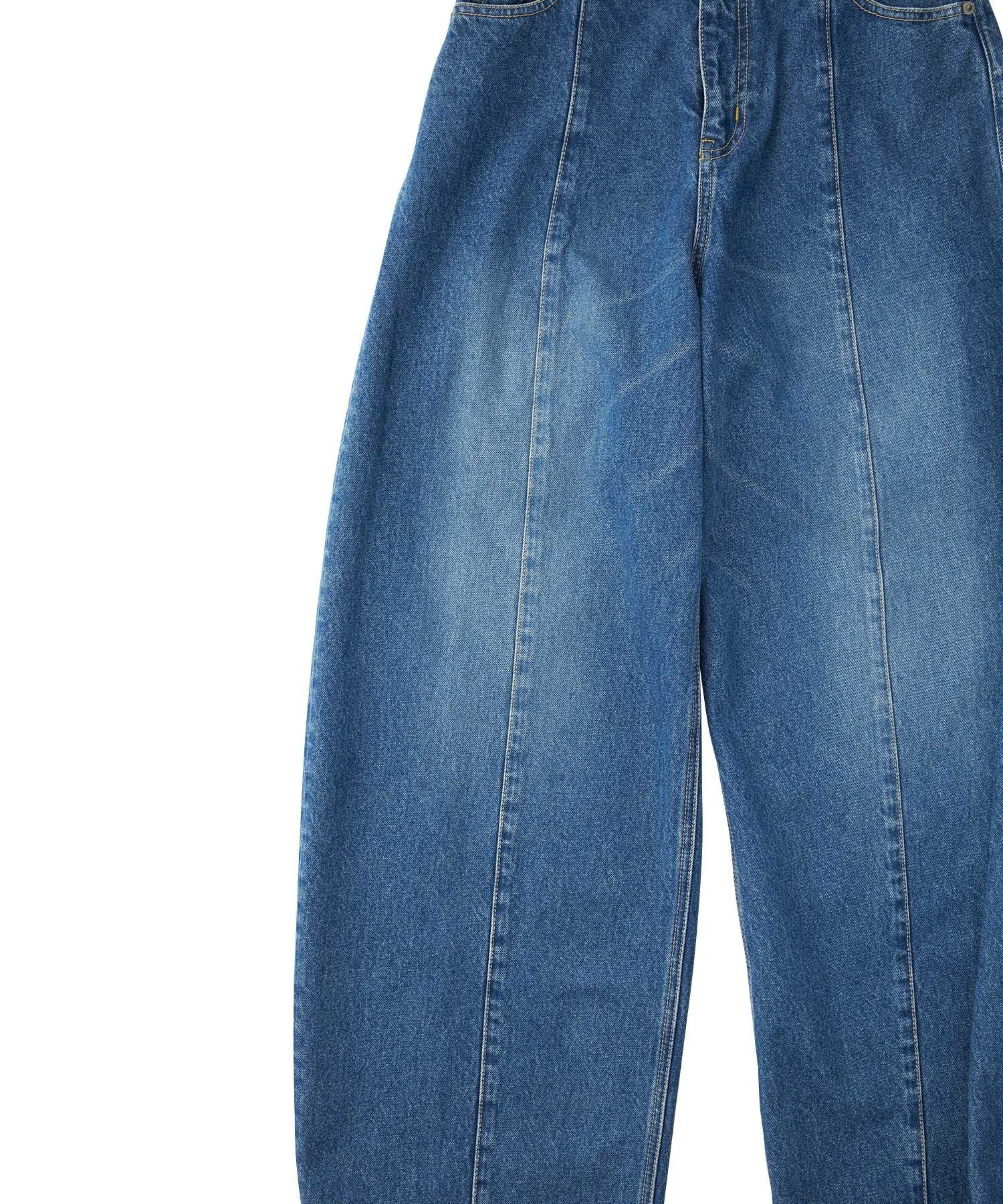 Curve Denim Pants