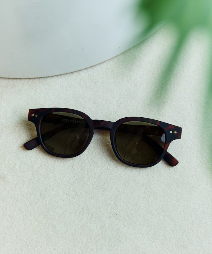 OLA VISTA Photochromic