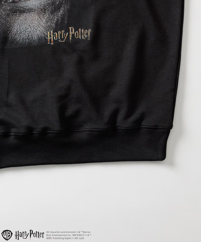 Harry Potter / Harry Potter Greyback Crewneck Sweat