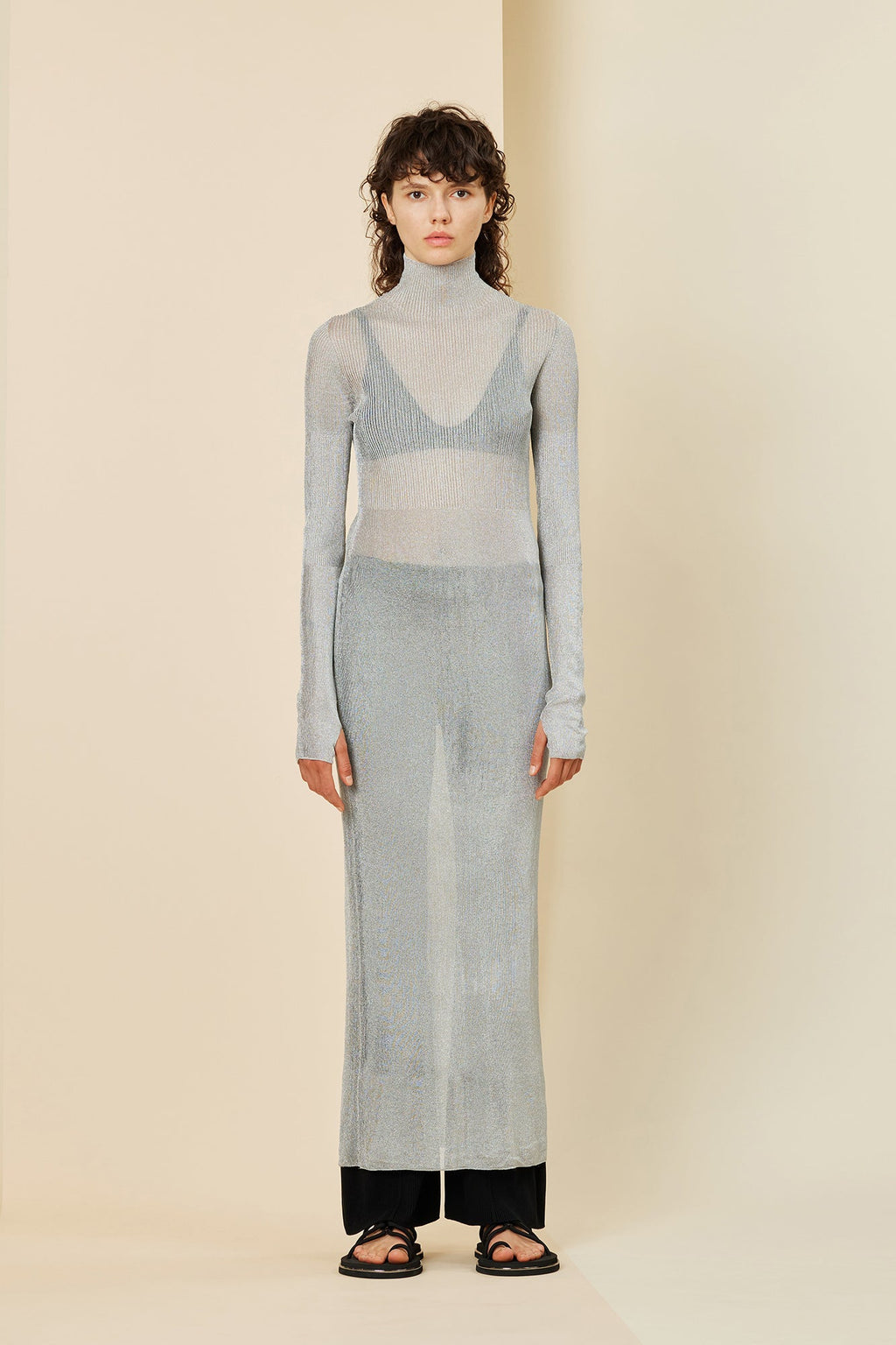 RIB METAL HIGHNECK LONG SLEEVE DRESS