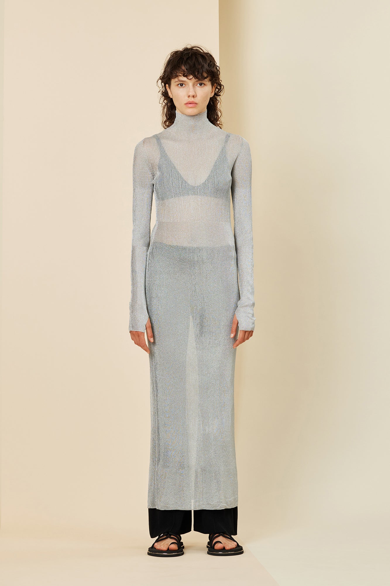 RIB METAL HIGHNECK LONG SLEEVE DRESS