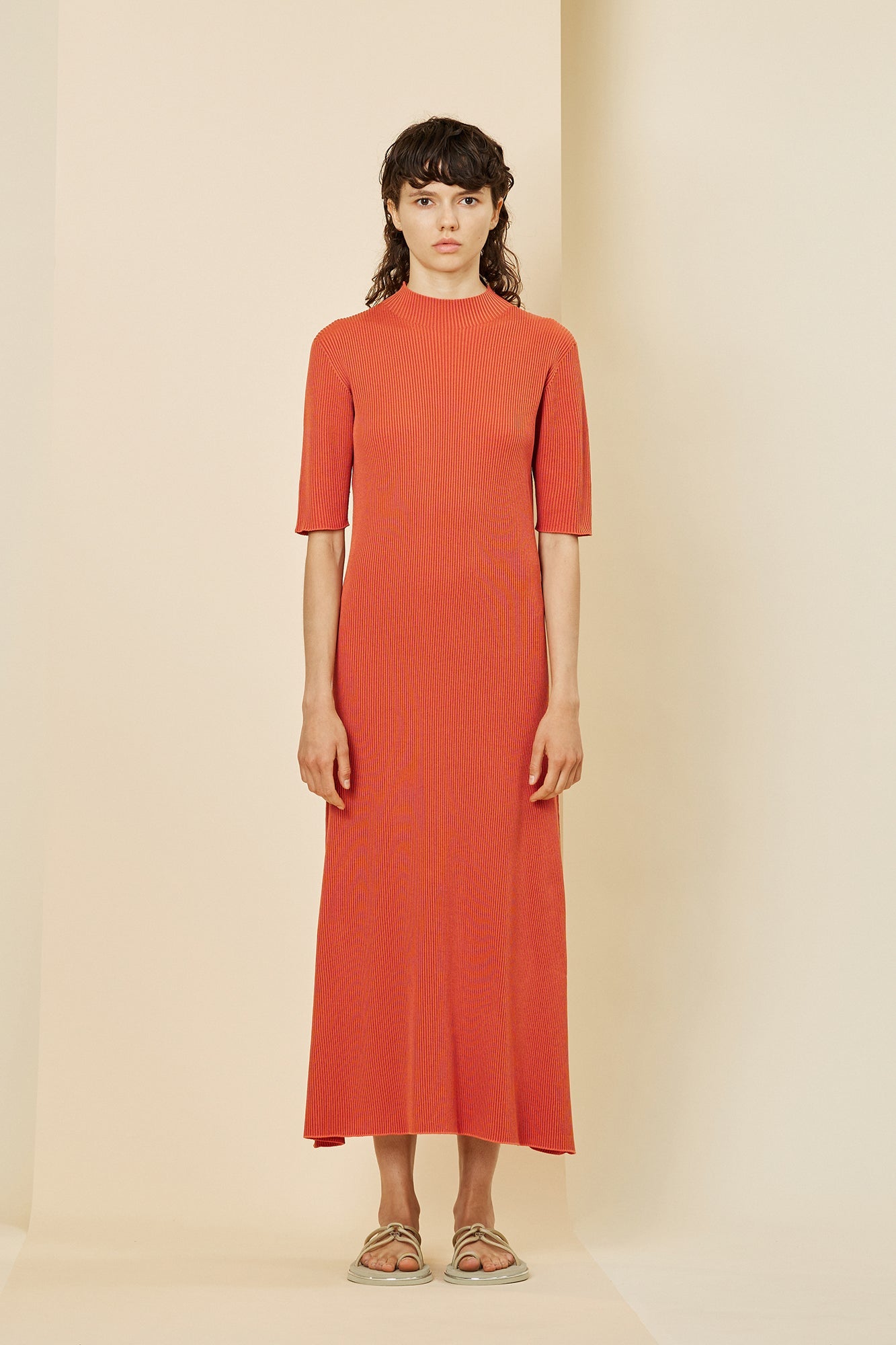 PORTRAIT SHORT SLEEVE DRESS