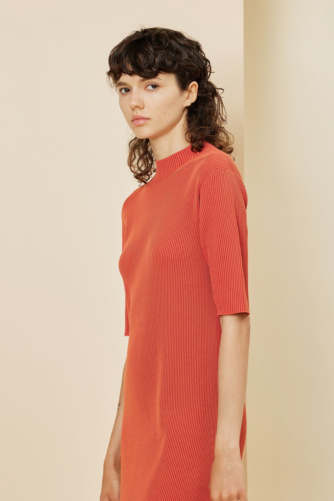 PORTRAIT SHORT SLEEVE DRESS